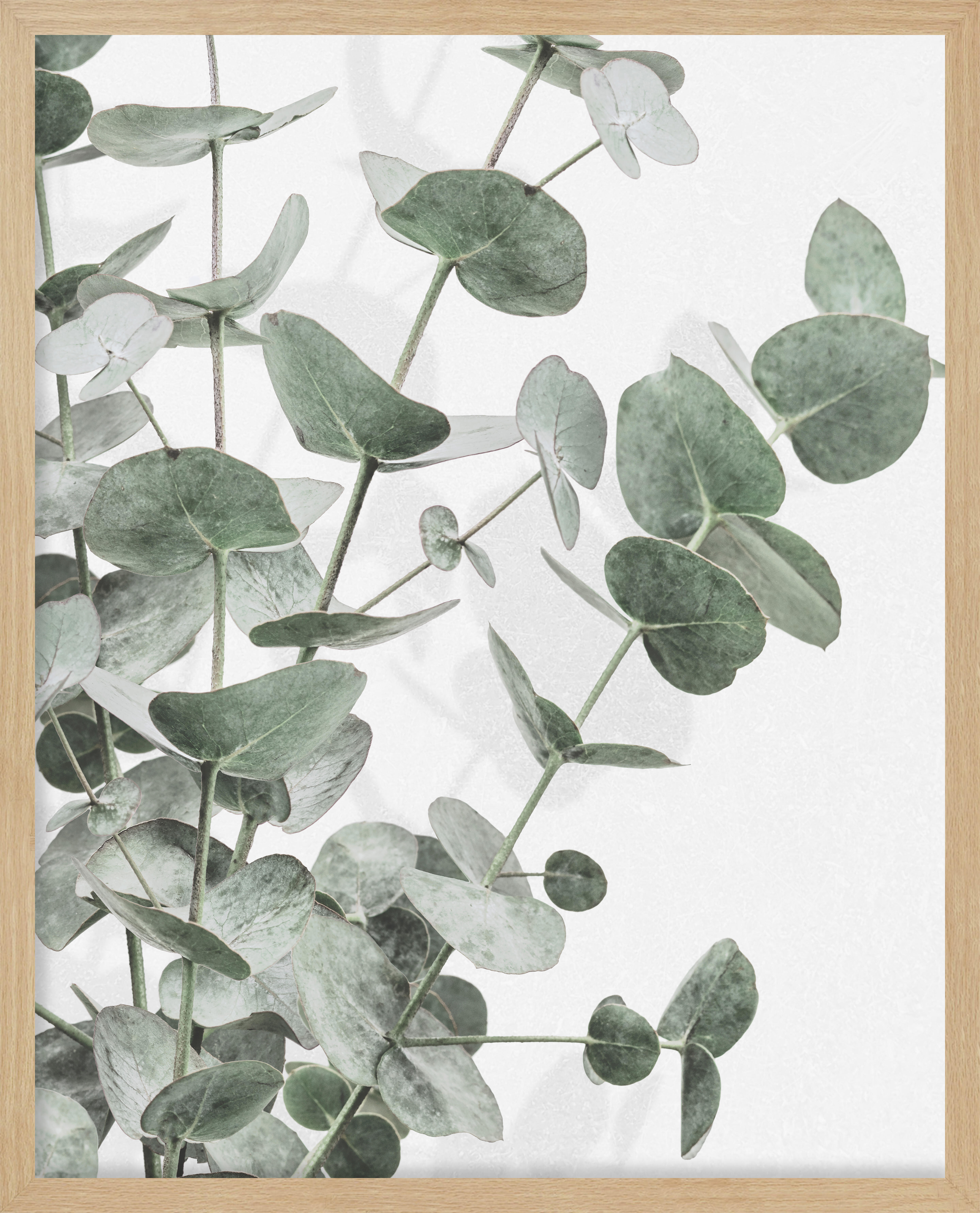 Cuadro pintura impresa enmarcada Botánica rectangular de 42 x 52 cm. Papel Alma Silvestre verde. Marco color Roble - 2