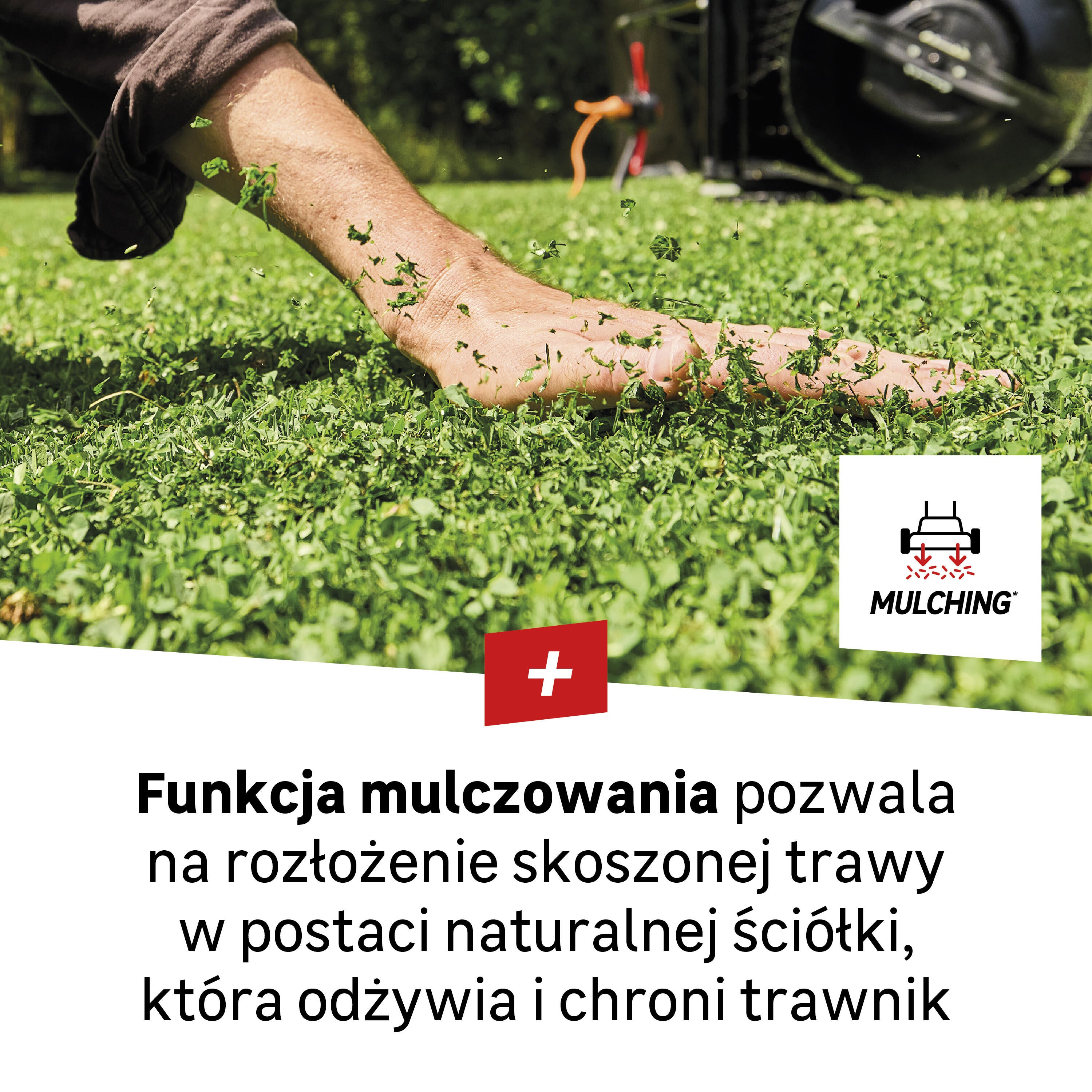 Kosiarka elektryczna ELM-43.1 2000 W 43 cm Sterwins - 4