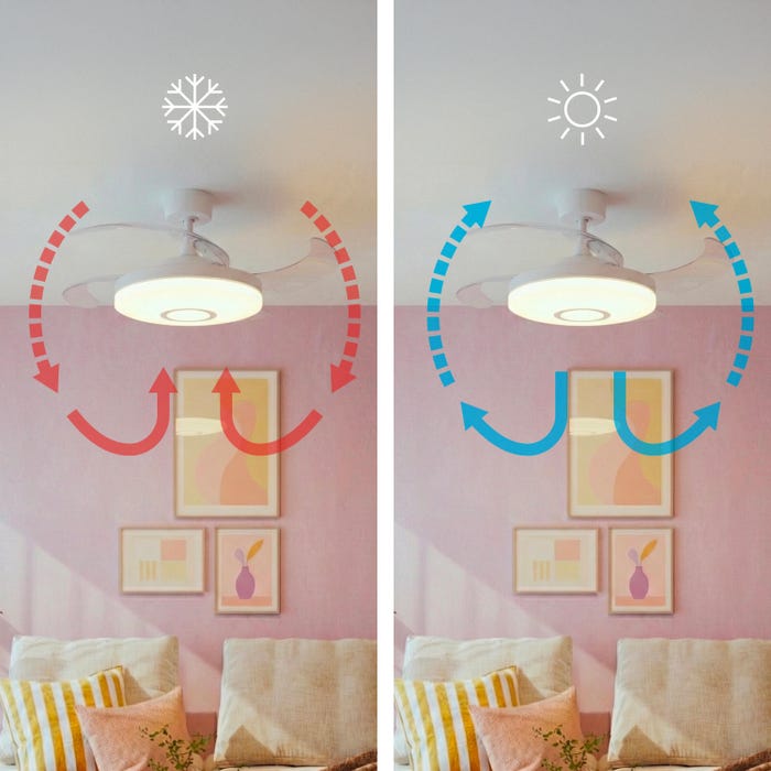 ventilateur de plafond hiver été