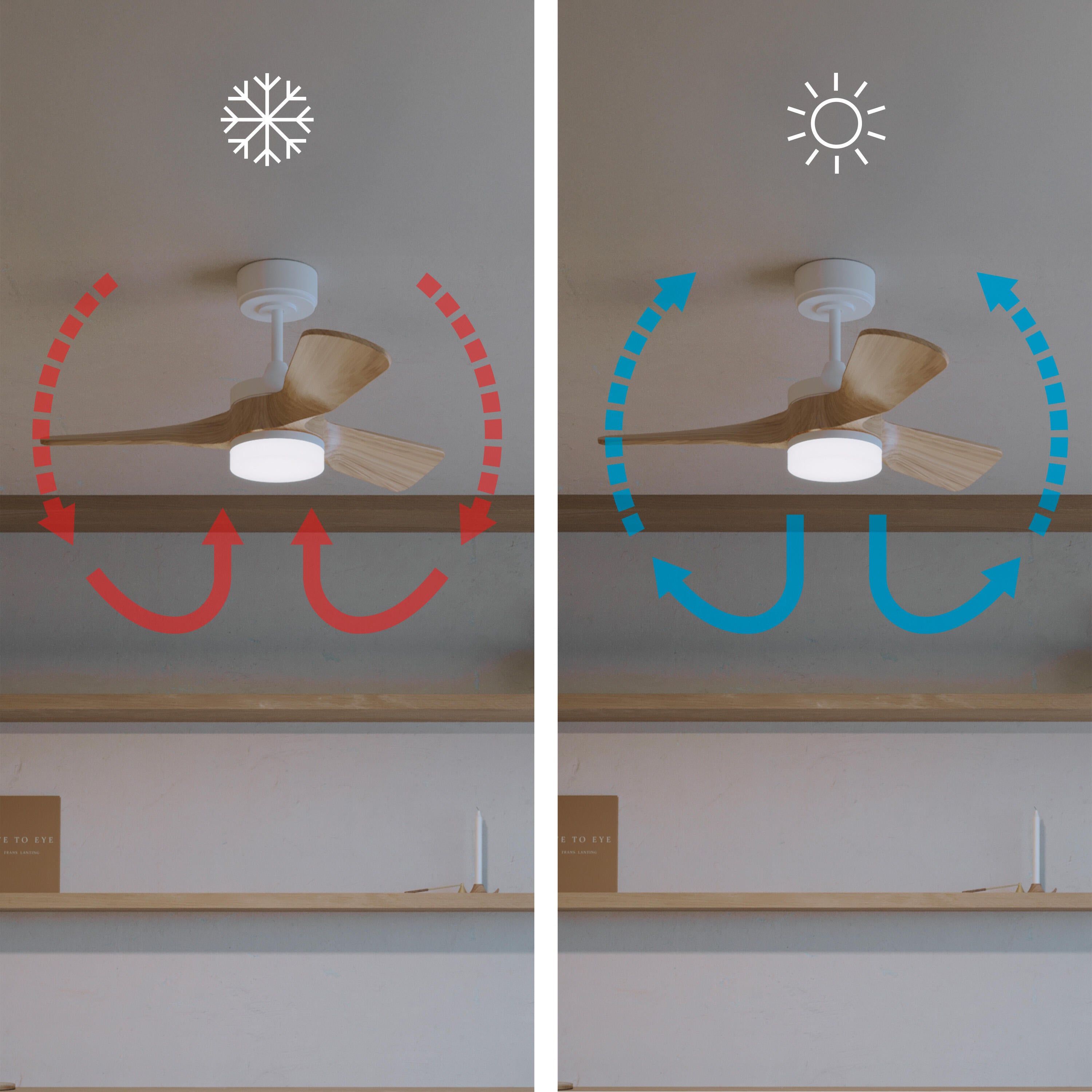 ventilateur plafond - 3
