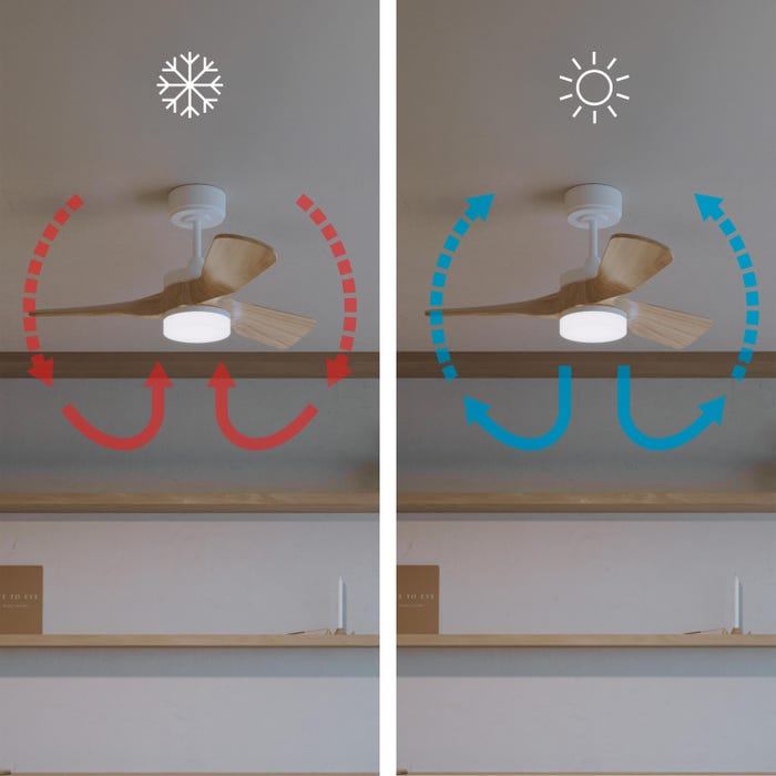 ventilateur plafond