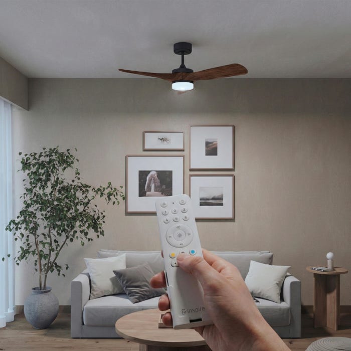 ventilador de techo