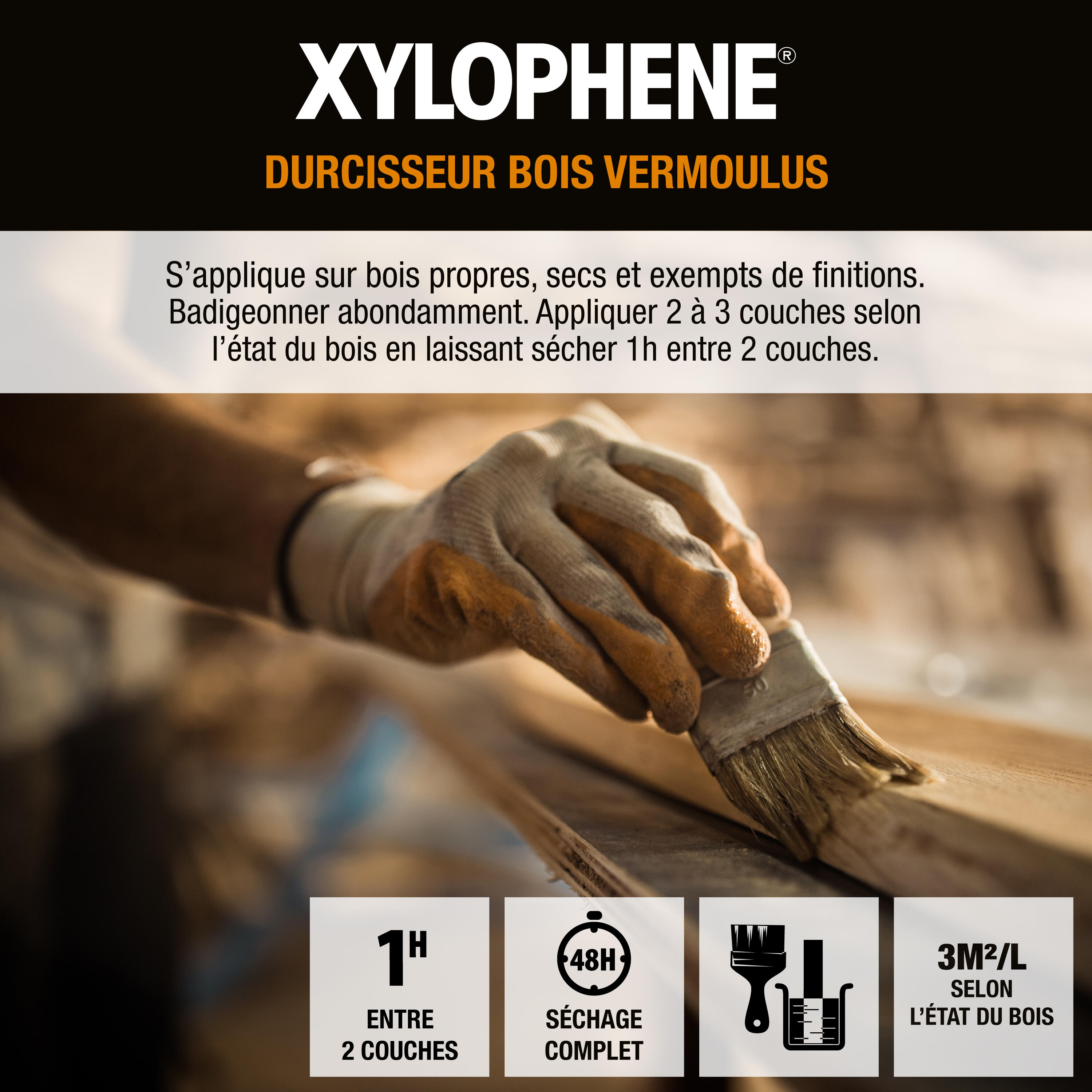 Traitement du bois meuble XYLOPHENE Vermoulus 0.5 l - 4