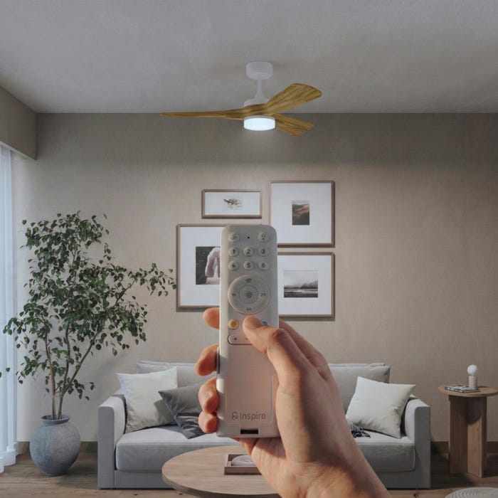 aspa de ventilador de techo