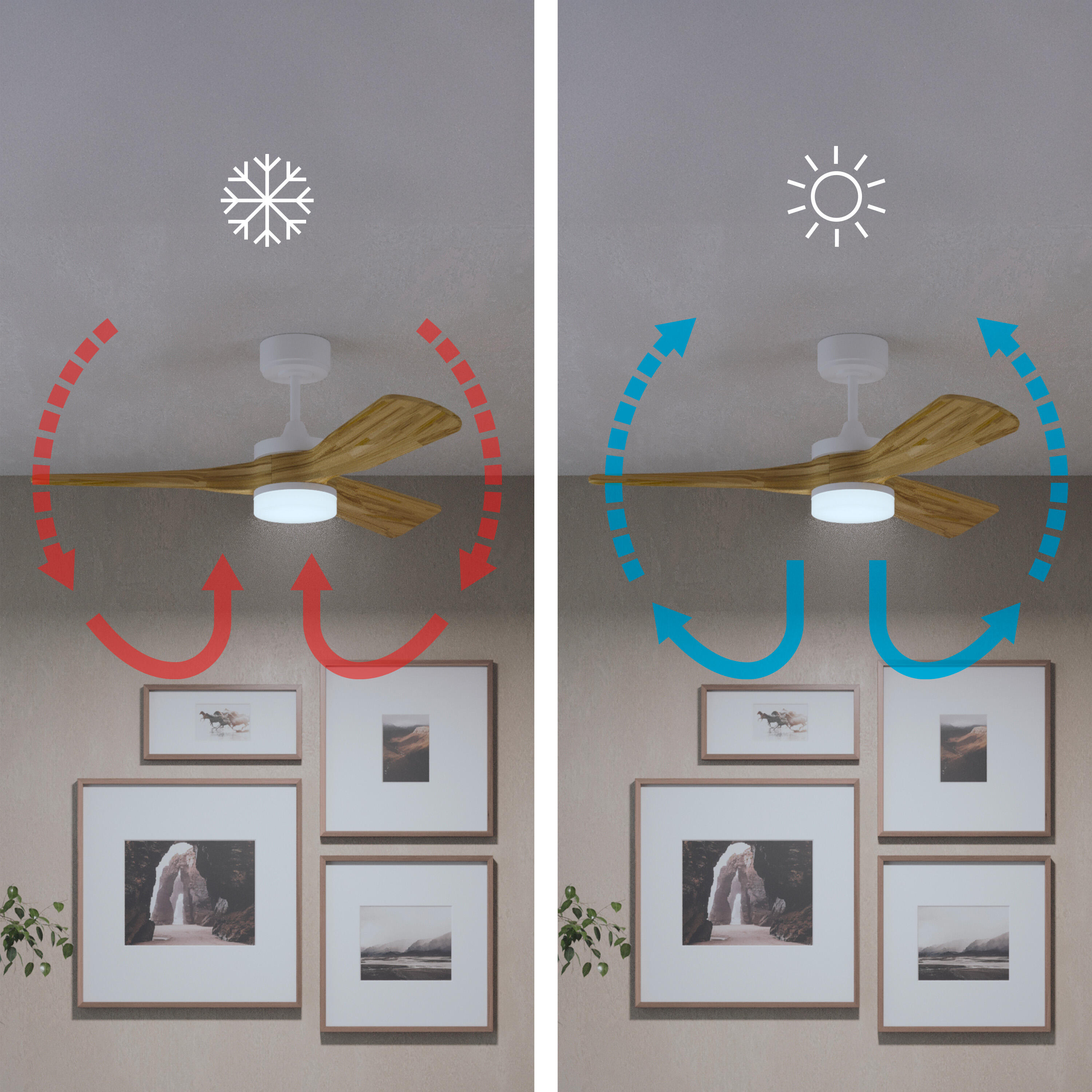 Ventilador de techo con luz silencioso DC 37W con mando ø112 cm Chris INSPIRE blanco luz CCT 3 aspas| 6 velocidades| modo verano/invierno| brisa| temporizador| recomendado de 13 a 20m² - 4