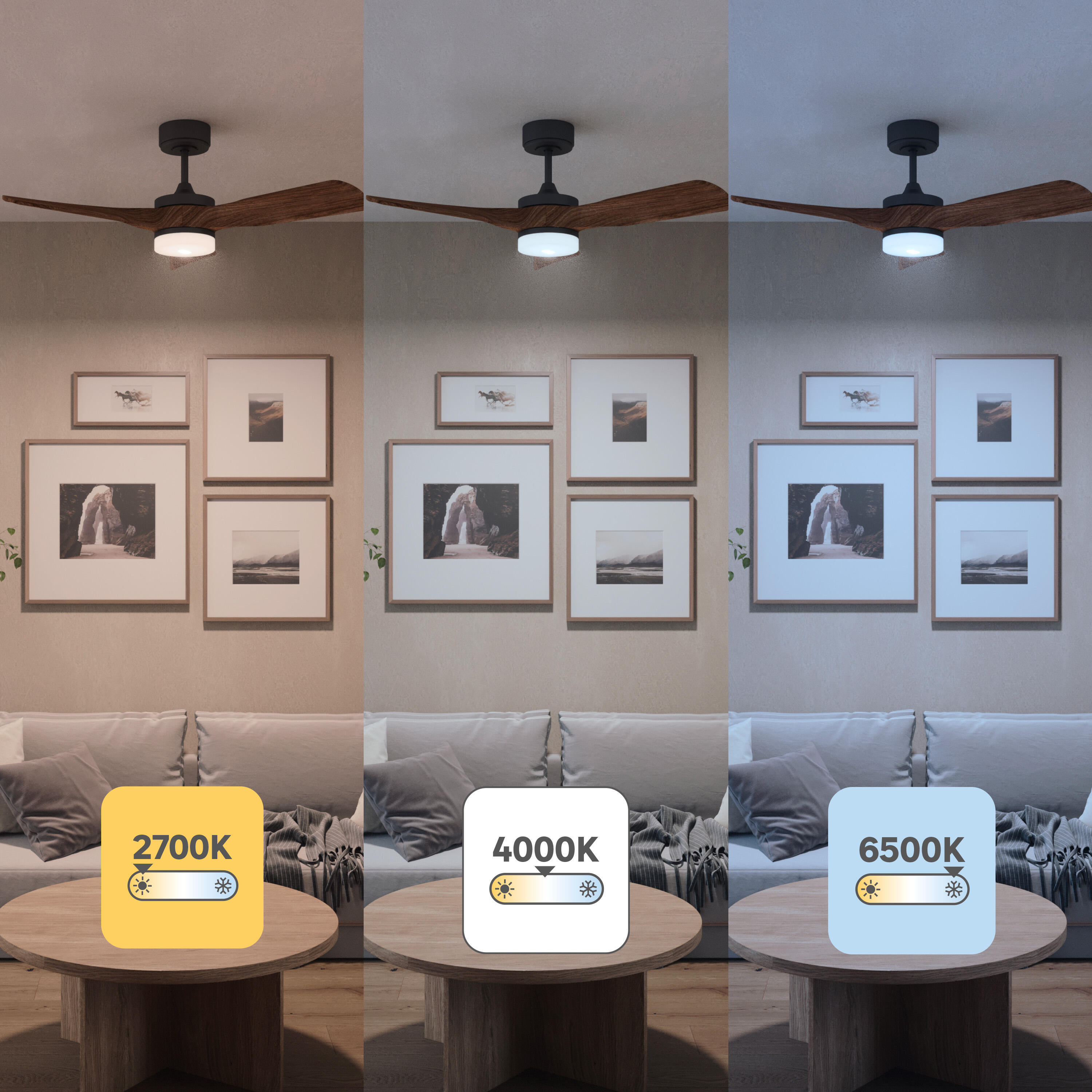 Ventilador de techo con luz silencioso DC 37W con mando ø112 cm Chris INSPIRE negro luz CCT 3 aspas| 6 velocidades| modo verano/invierno| brisa| temporizador| recomendado de 13 a 20m² - 5