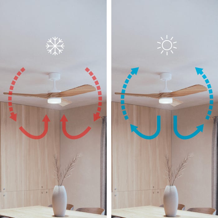 ventilador de techo