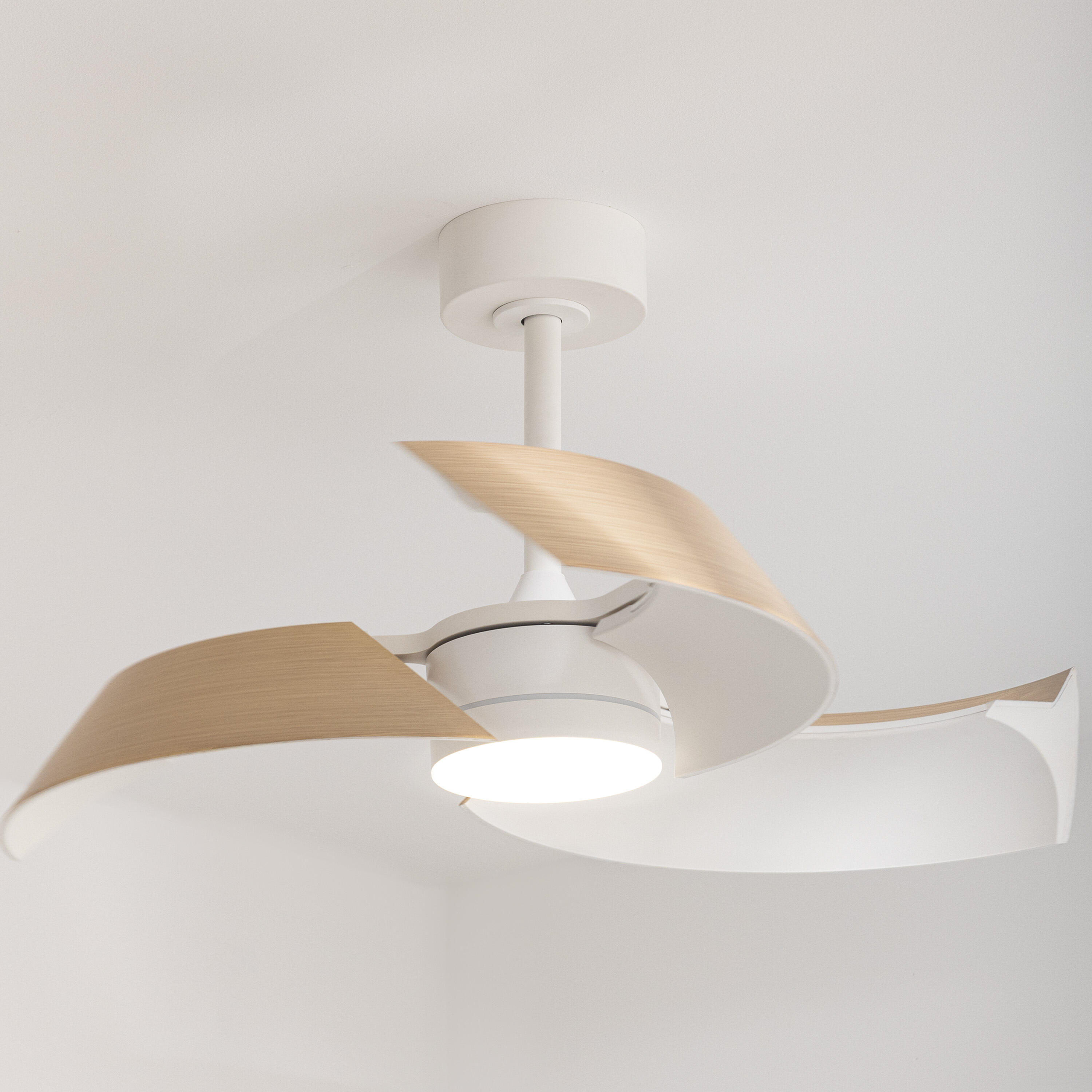 Ventilateur de plafond LED connecté silencieux, Cadix, INSPIRE SIGNATURE, bois - 2