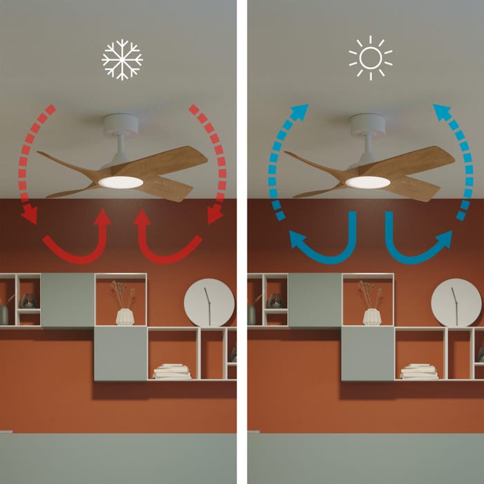 ventilateur de plafond lumiere