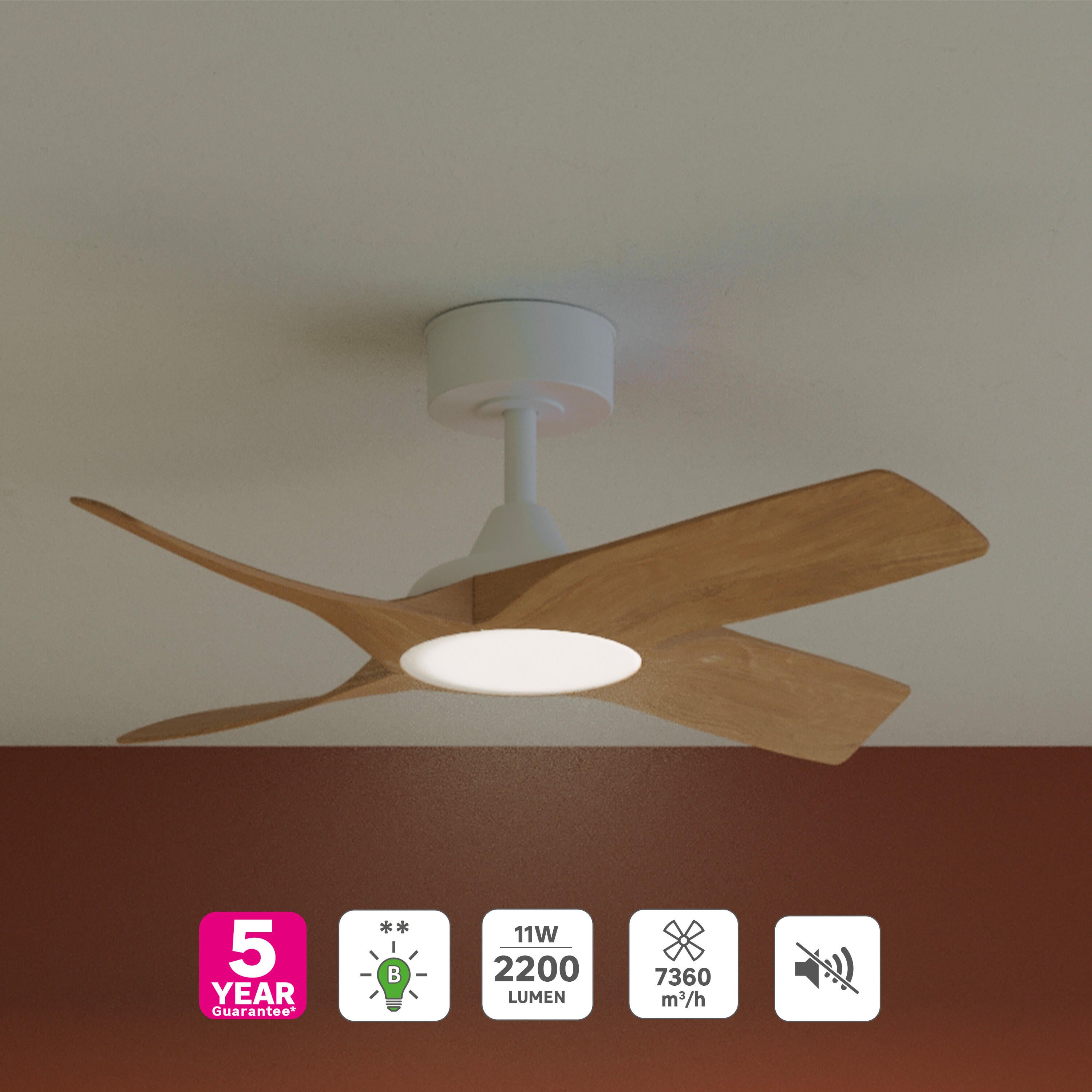 ventilateur de plafond - 1