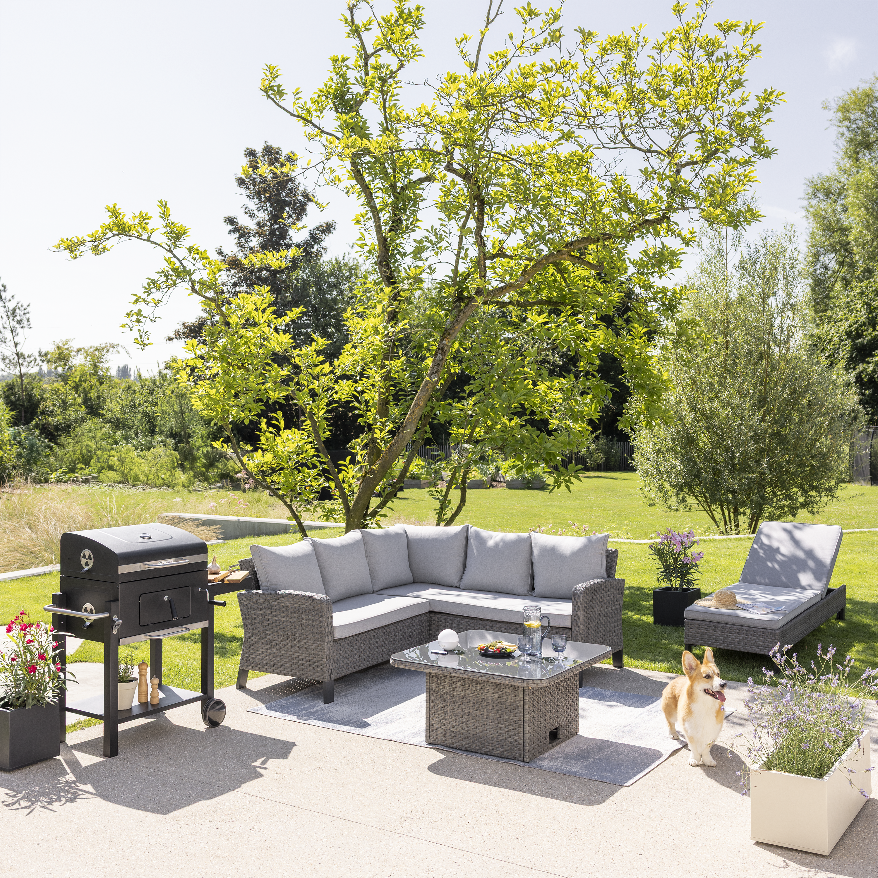 Barbecue a carvão 61x46 cm preto Naterial Centaurus - 7