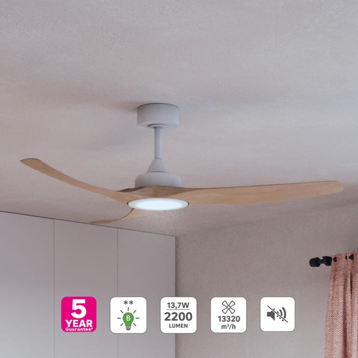 ventilateur plafond