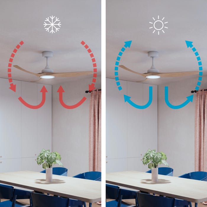 ventilateur plafond economies energies