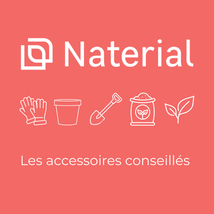 naterial 