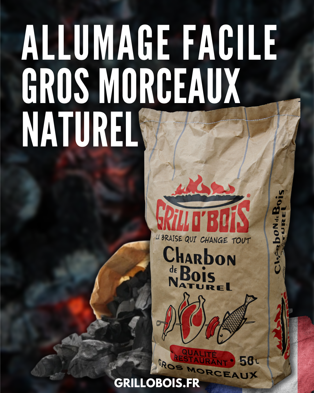 Charbon de bois GRILLO'BOIS 50 l - 3