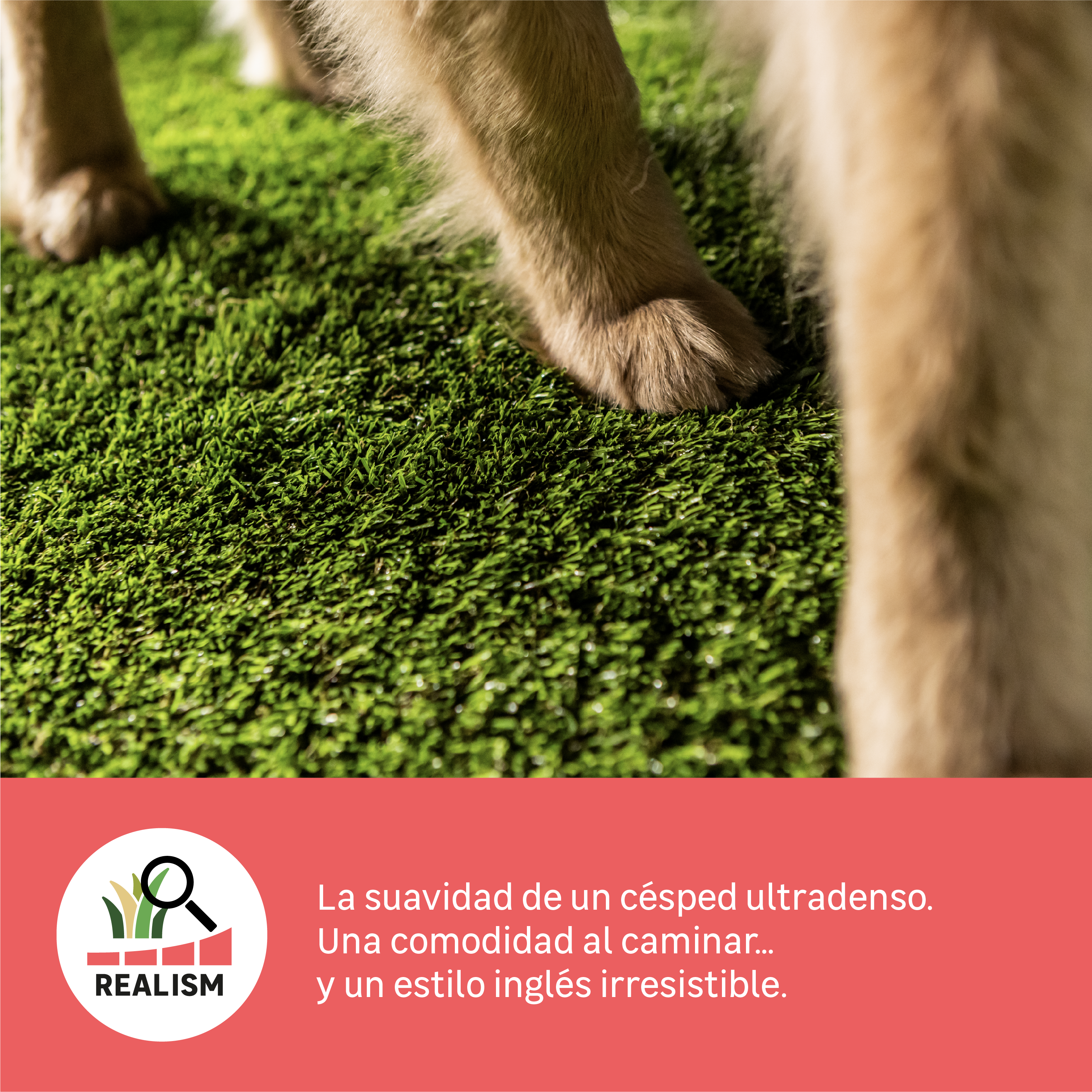 Rollo césped artificial NATERIAL Panamá 1x5m 35 mm de altura de fibras y 16800 puntadas m² - 13