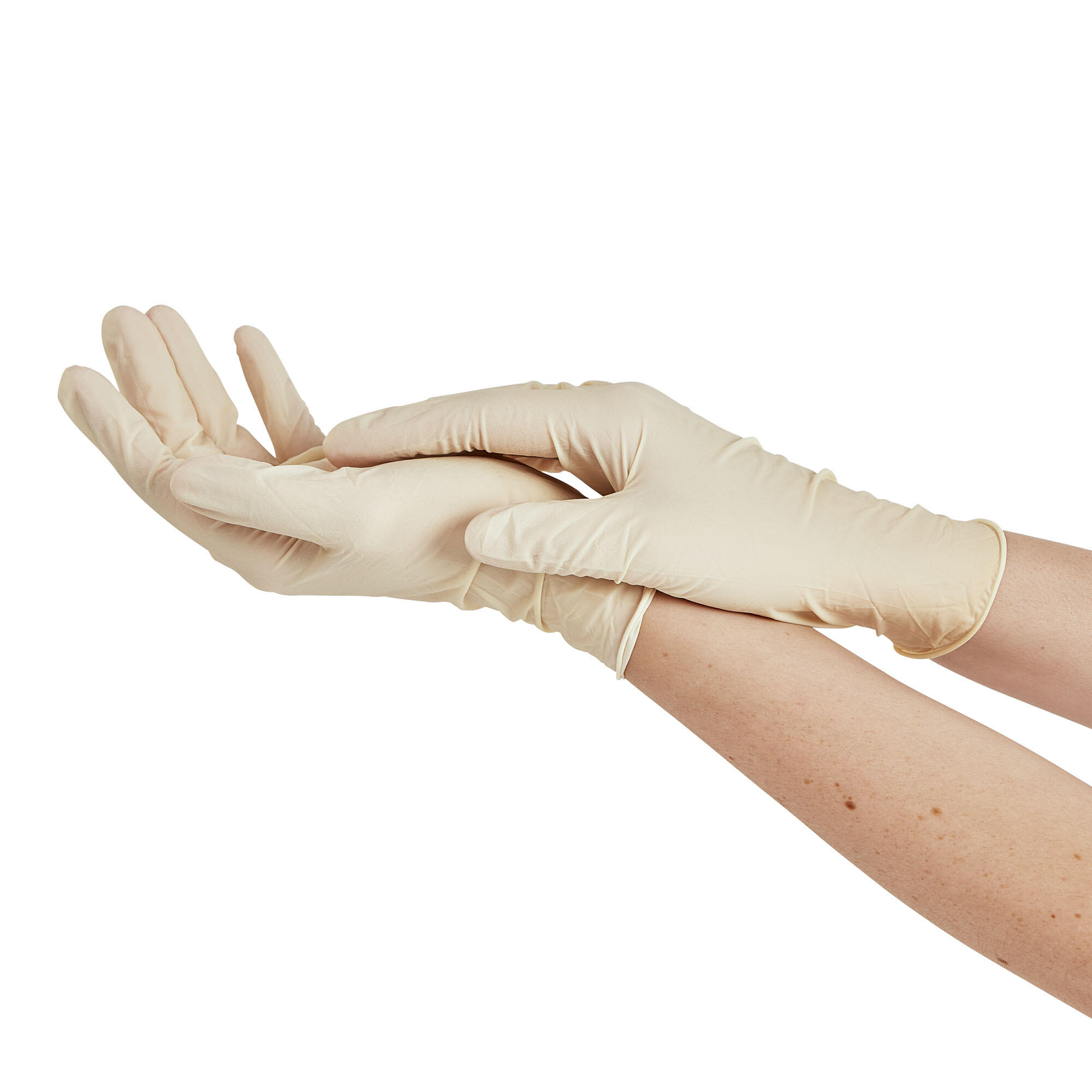 30 gants pour les travaux quotidien SPONTEX EXPERT, T7 - 2