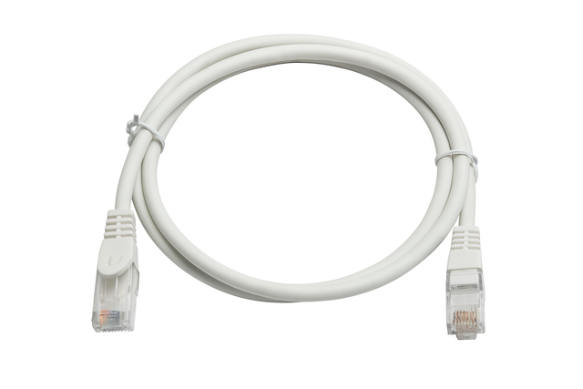 LATIGUILLO RJ45 CABLE UTP CAT6A 2M