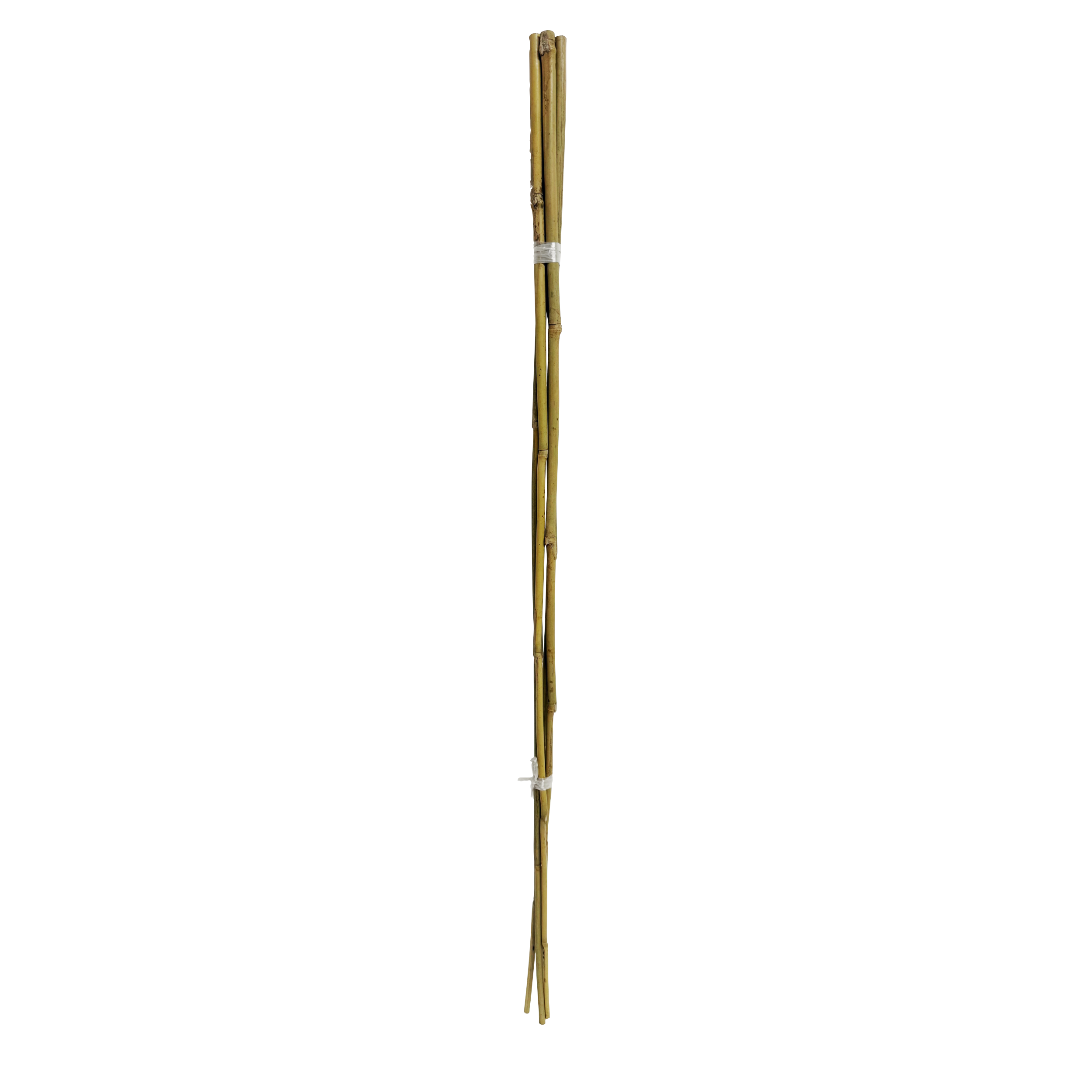 Tyczka podpórka bambusowa 8-10mm 90 cm 4 szt.