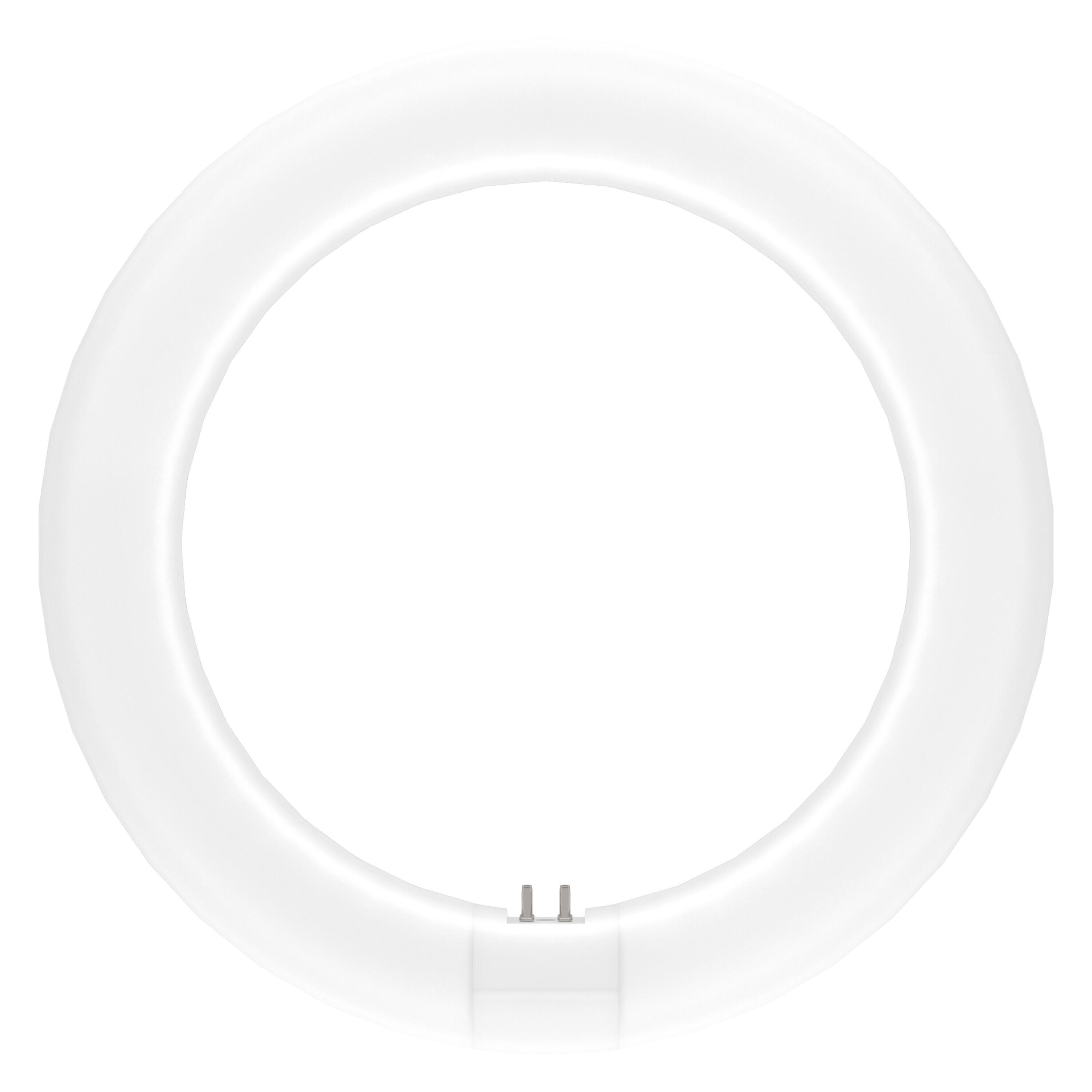 Tube led classique, disque G10Q, 1320lm = 11W, blanc neutre, OSRAM - 2
