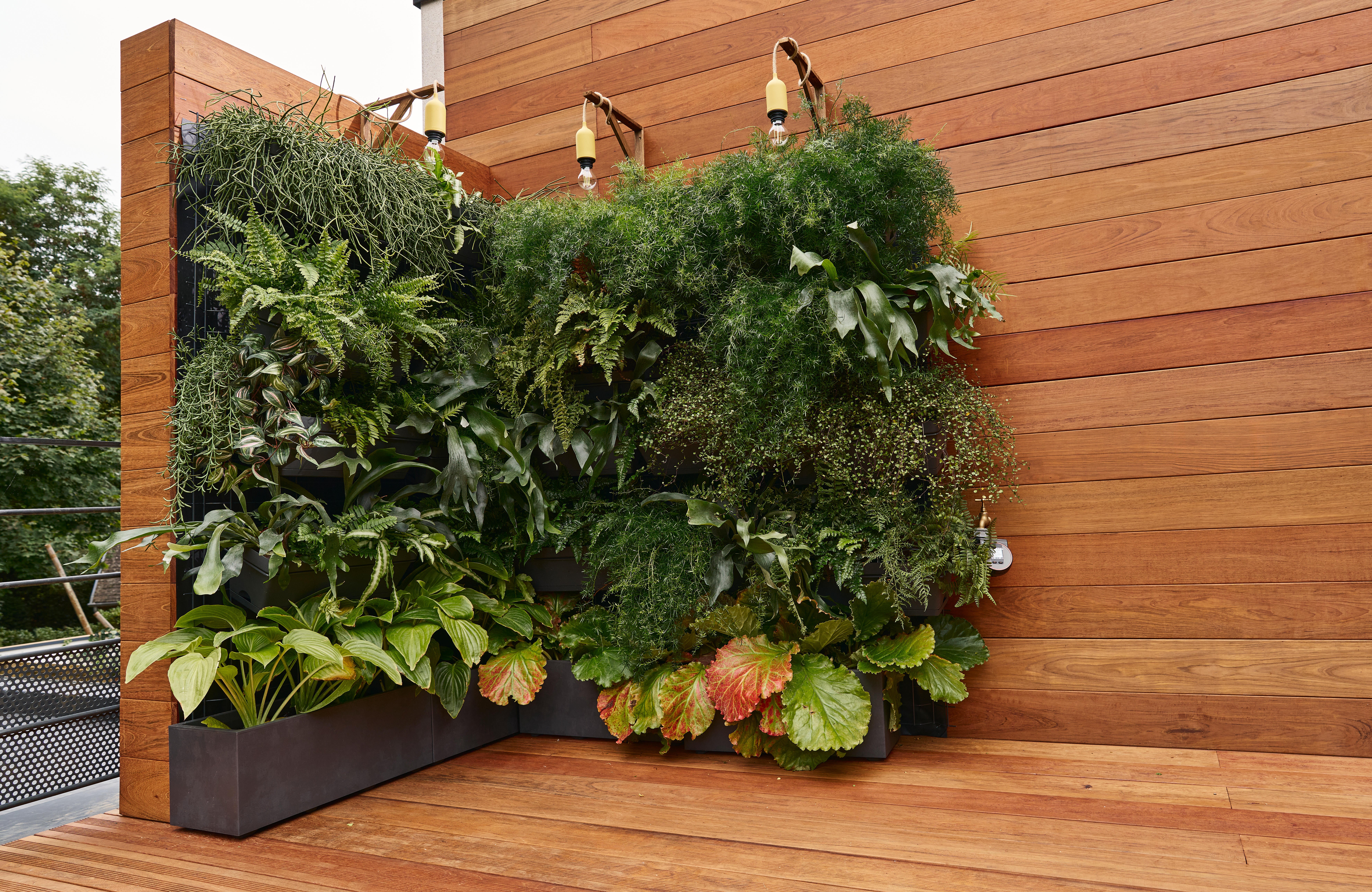 Jardinière polypropylène à réserve d'eau EDA, L.12 x l.30 x H.11.4 cm, gris - 3