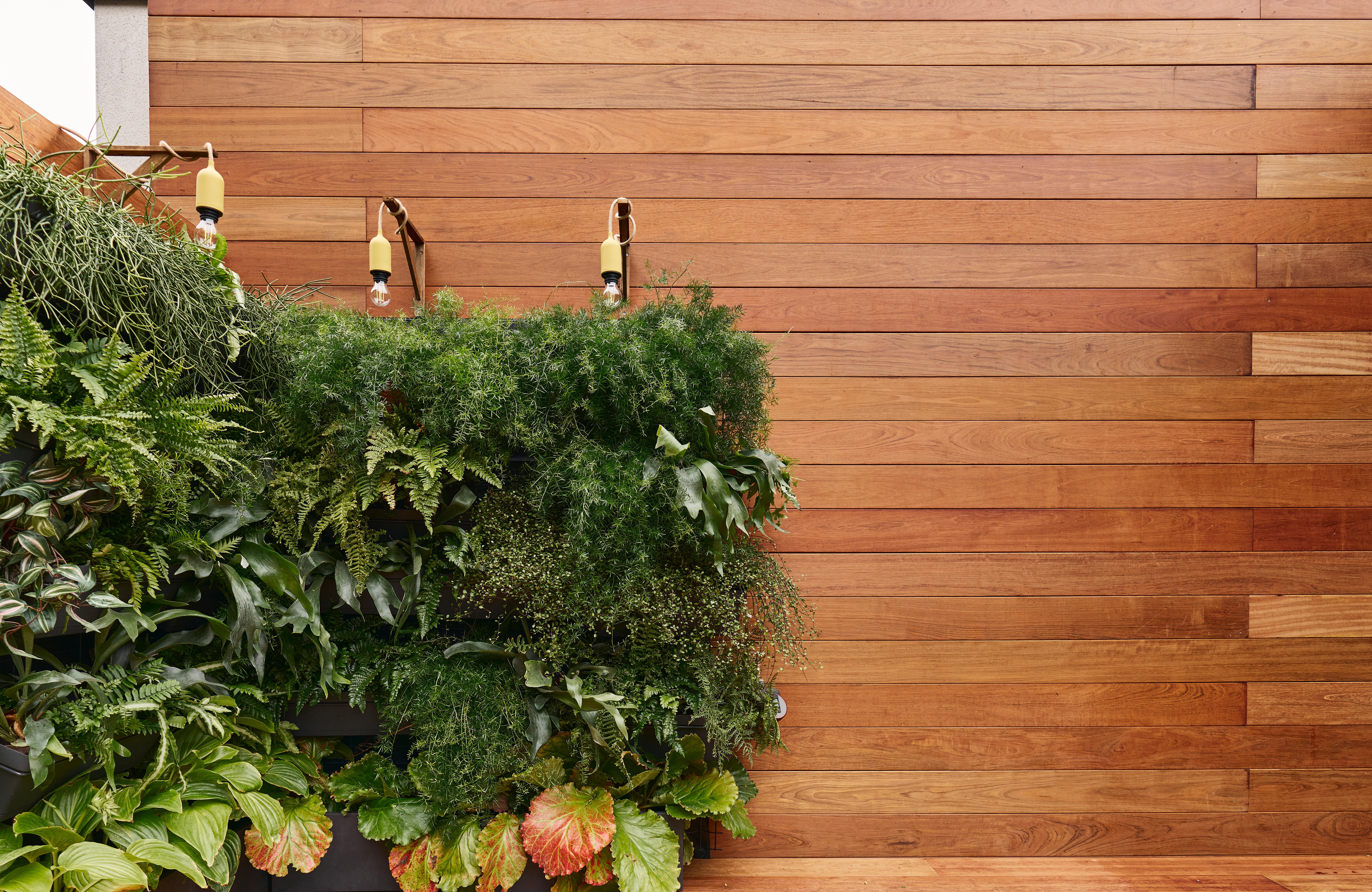 Jardinière polypropylène à réserve d'eau EDA, L.12 x l.30 x H.11.4 cm, gris - 2