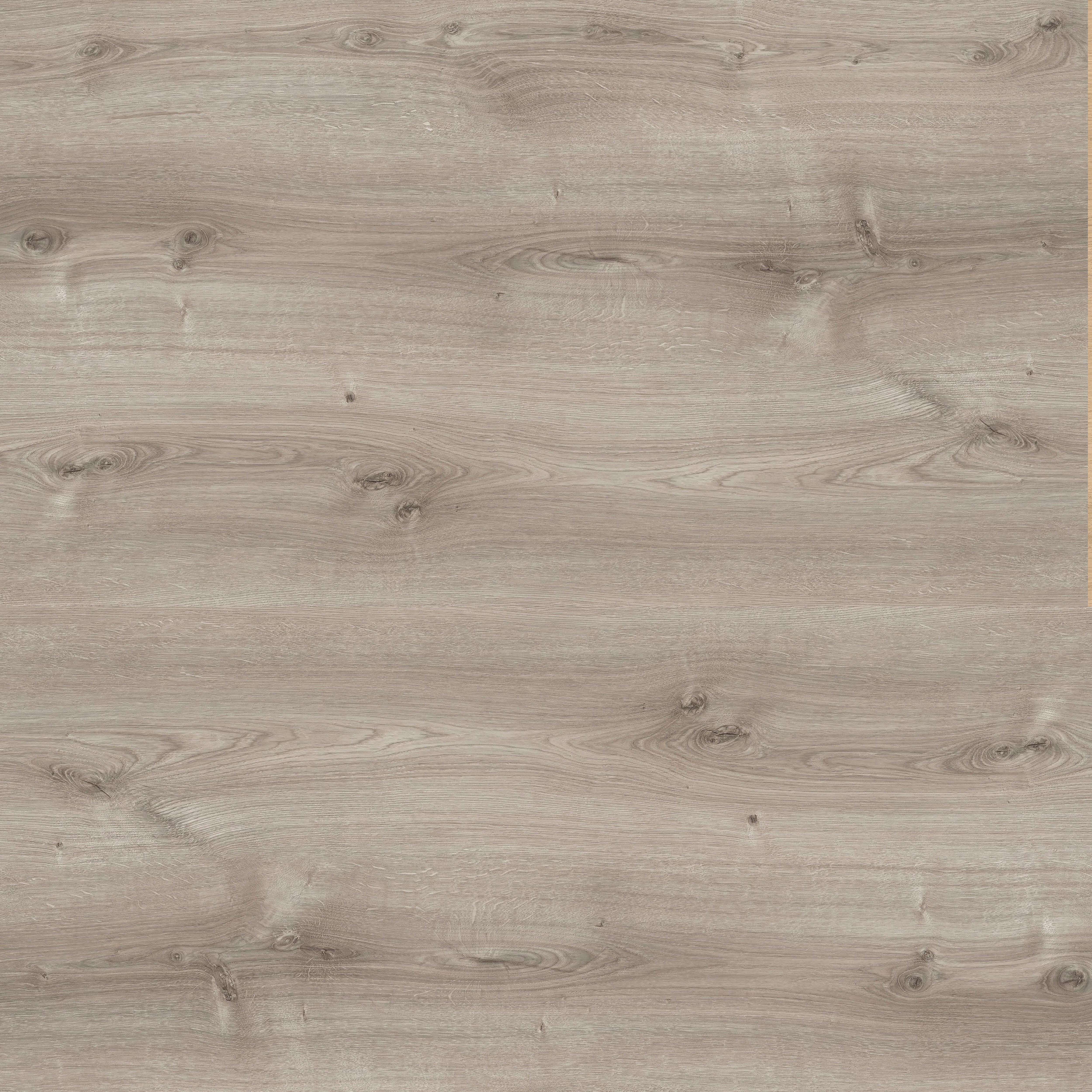 SUELO LAMINADO AC5 AQUA 100 HORAS 8MM MODELO SOMONTANO - 5