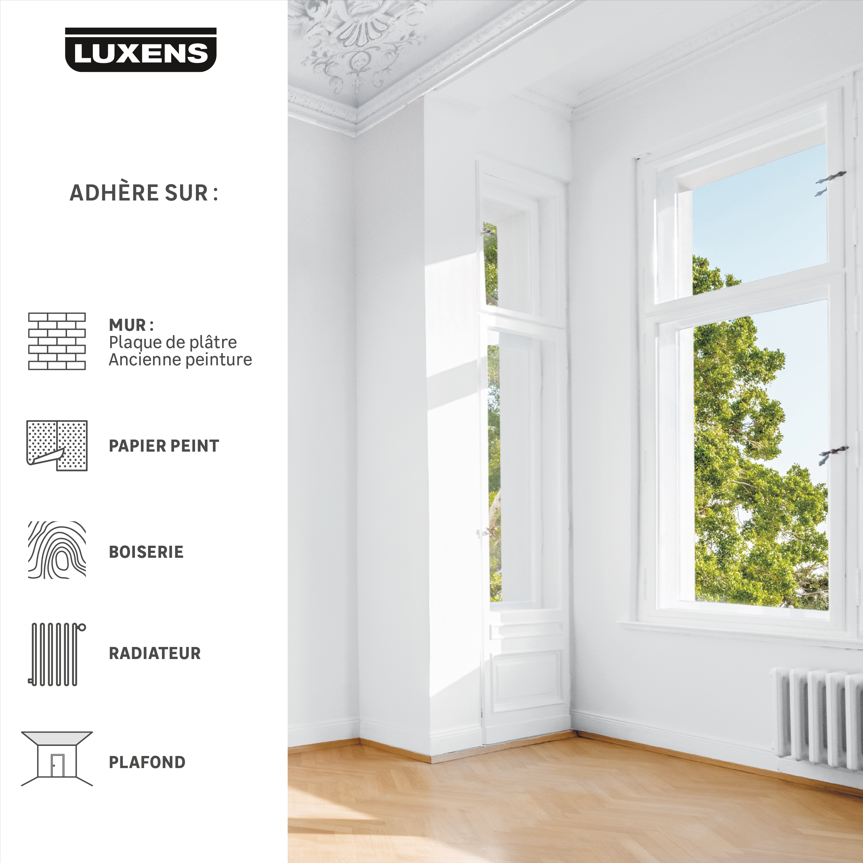 Peinture mur, plafond, boiserie blanc mat LUXENS Résistant 2.5L - 6