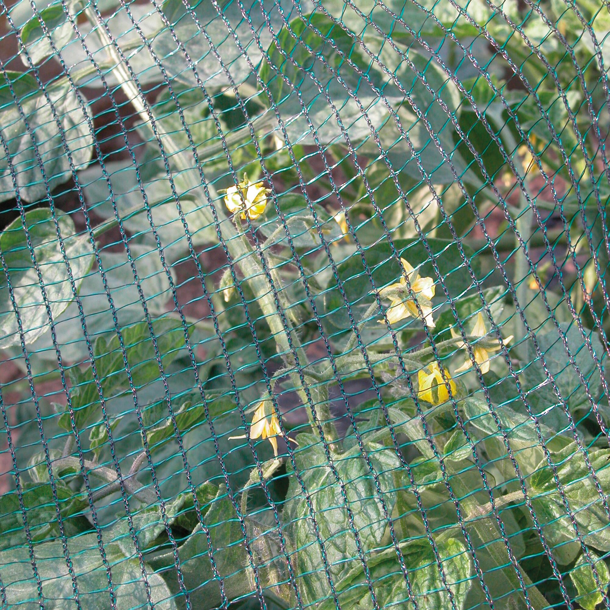 Rete antigrandine verde TENAX Defender 6 x 10 m - 2