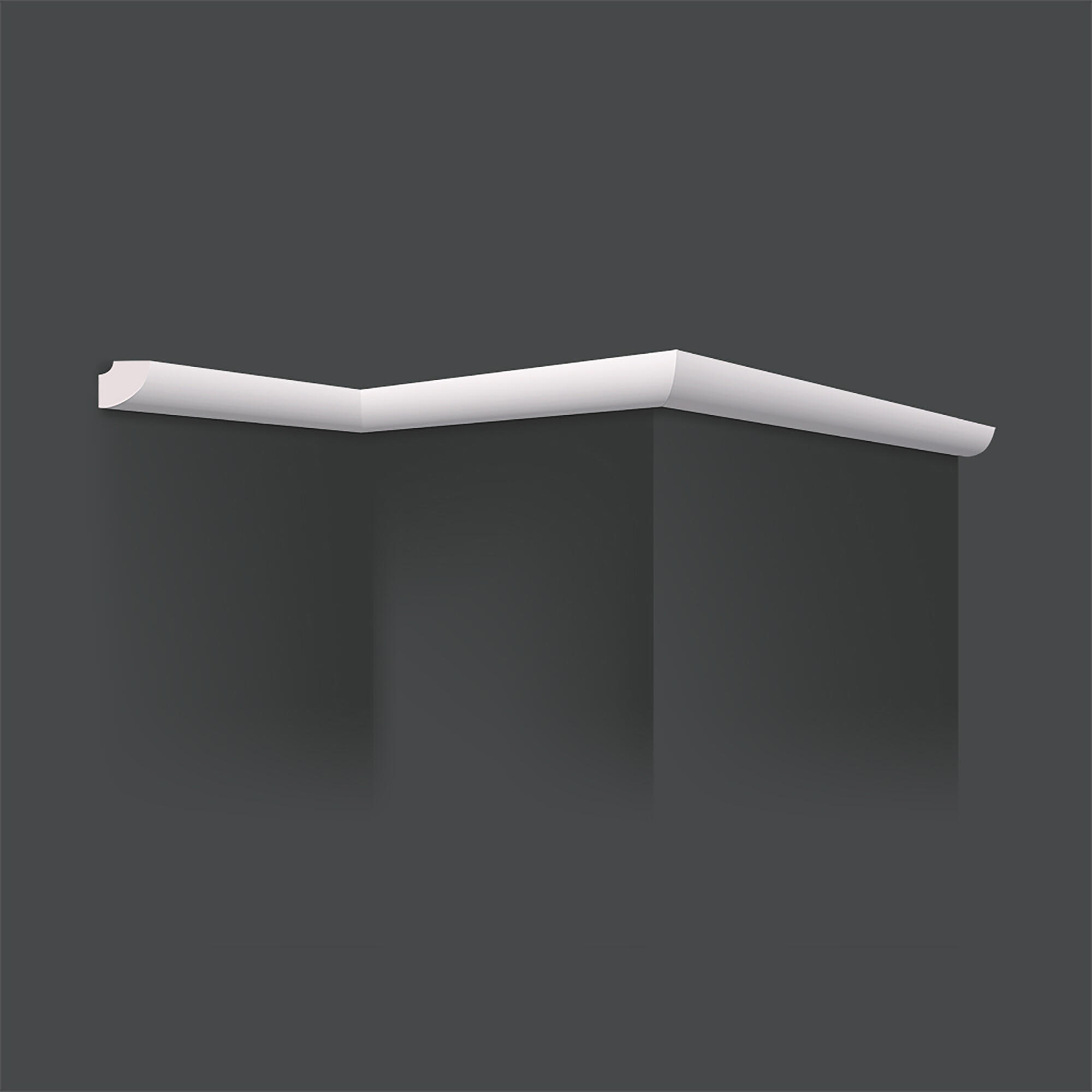Sanca HOMESTAR D20 200X2X2CM - 2