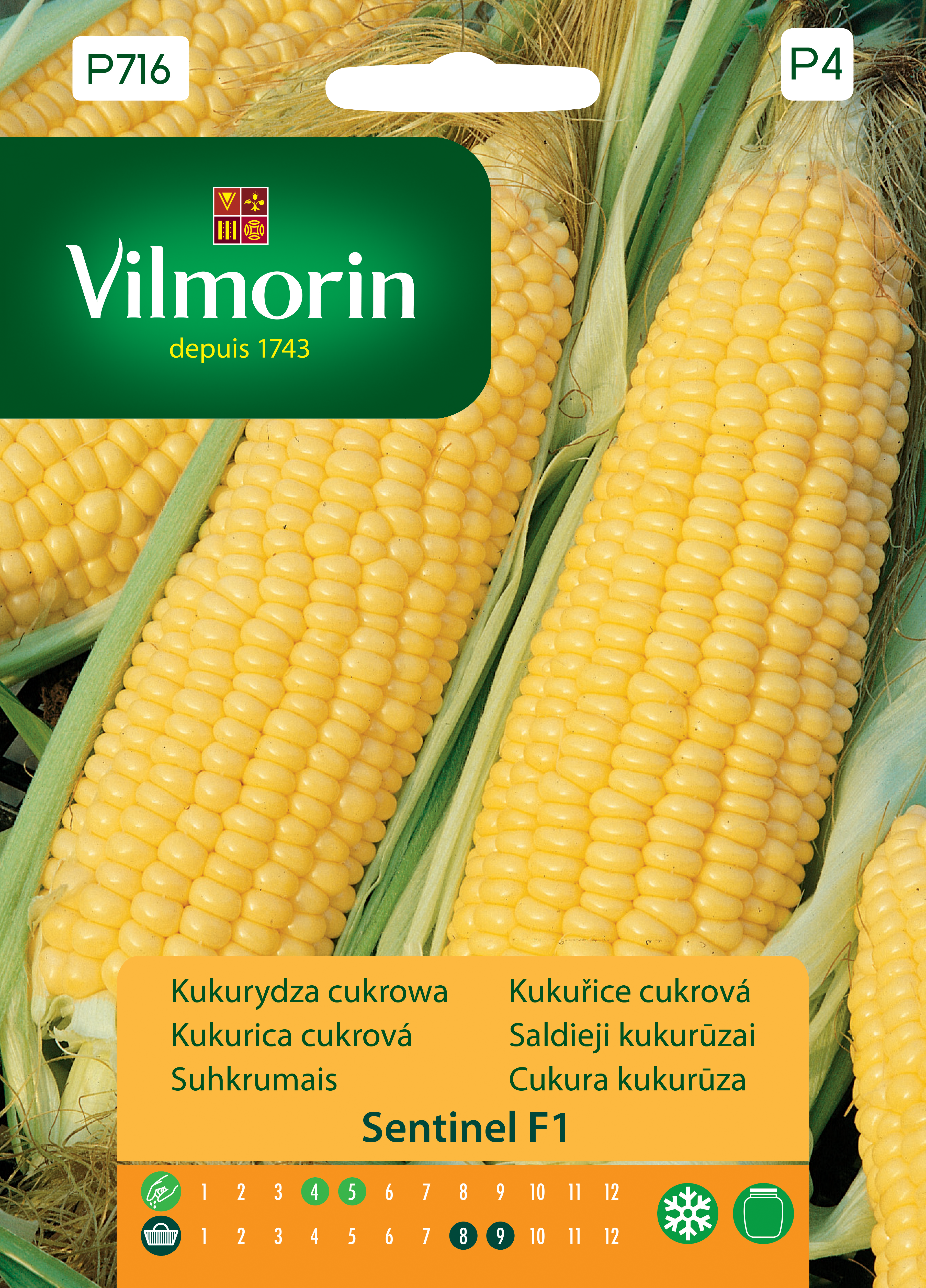 Kukurydza Sentinel F1 nasiona Vilmorin