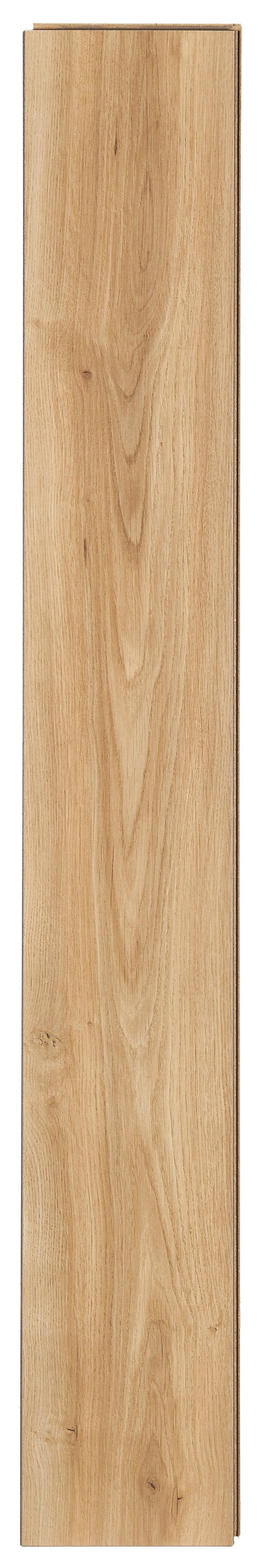 Panele podłogowe laminowane AC4 8 mm Weninger Dąb Merida - 6