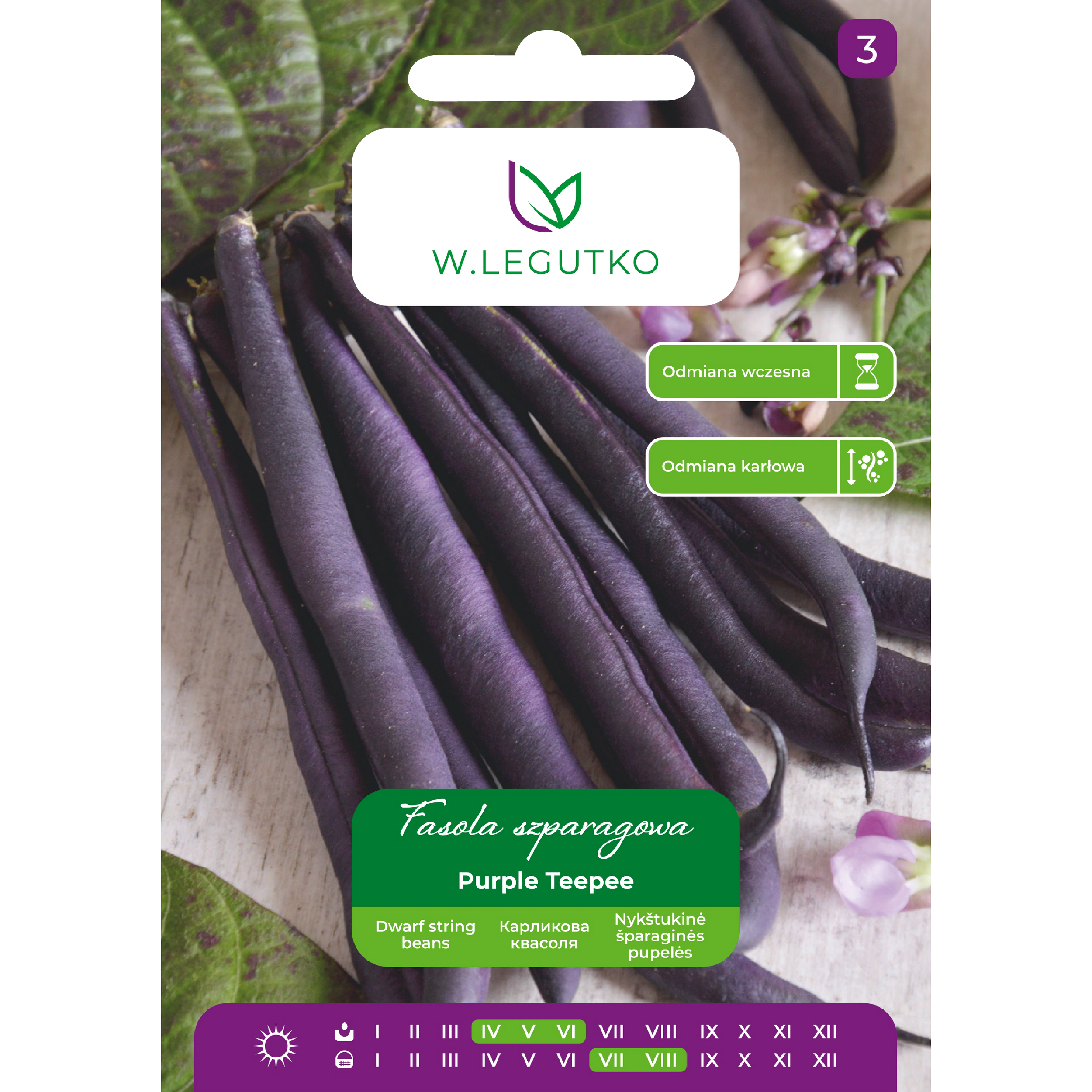 Fasola szparagowa Purple Teepee nasiona W.Legutko