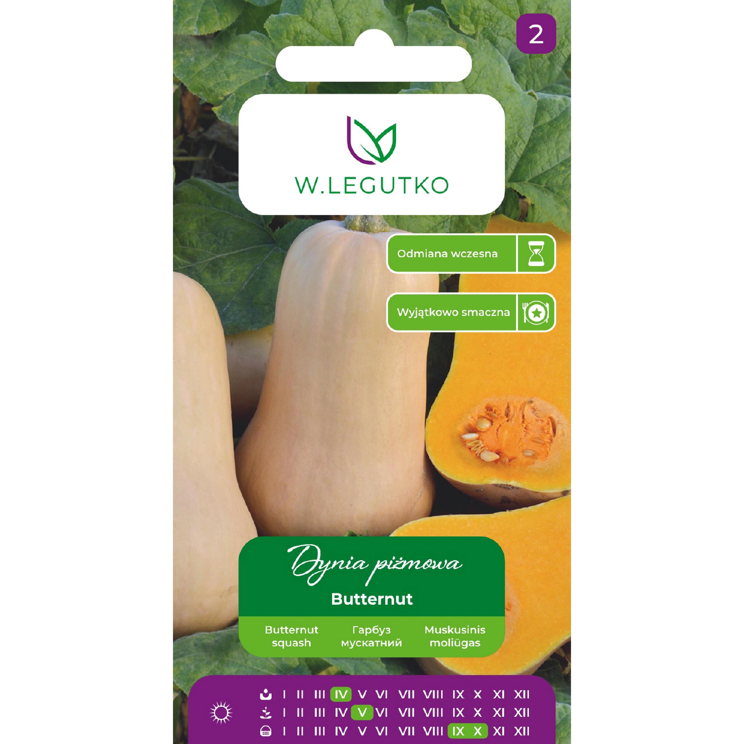 Dynia piżmowa Butternut nasiona W.Legutko