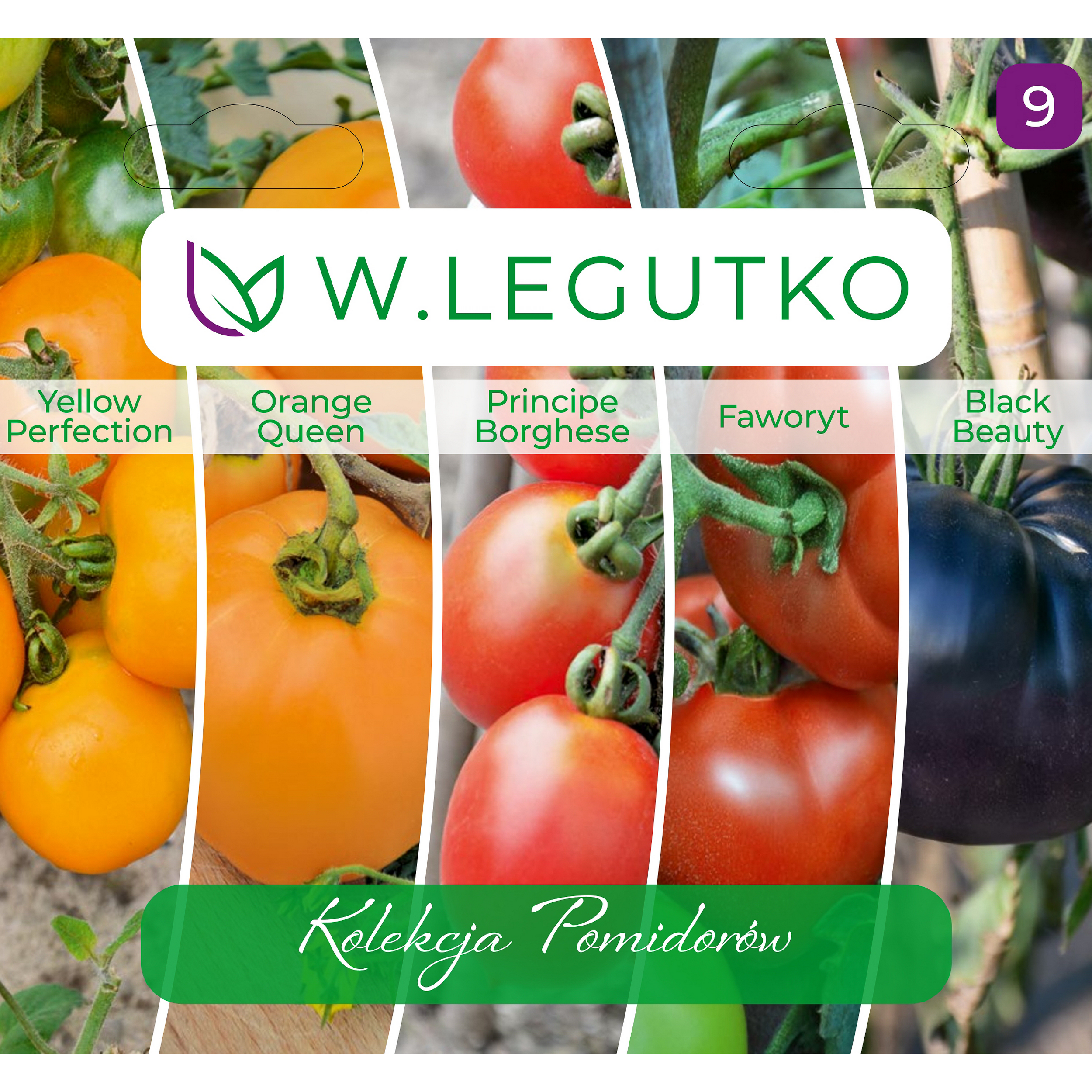 Kolekcja pomidorów nasiona W.Legutko