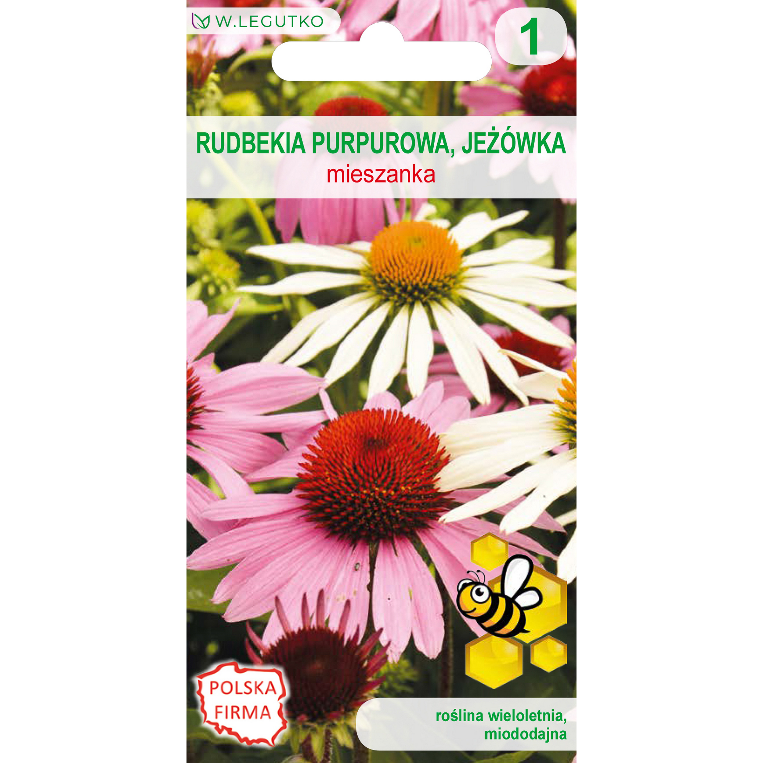 Rudbekia purpurowa, Jeżówka mieszanka nasion W.Legutko