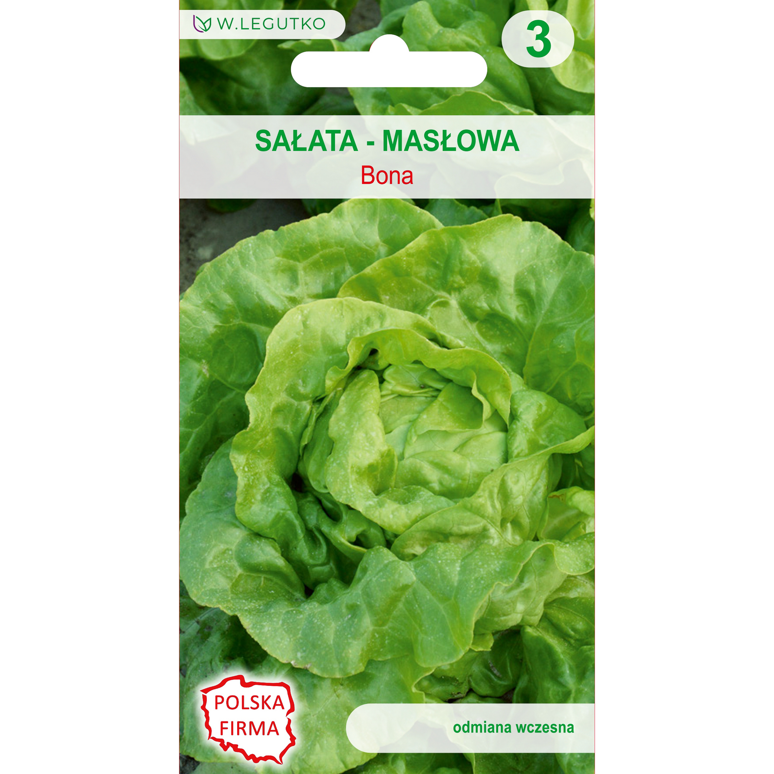 Sałata masłowa Bona nasiona W.Legutko
