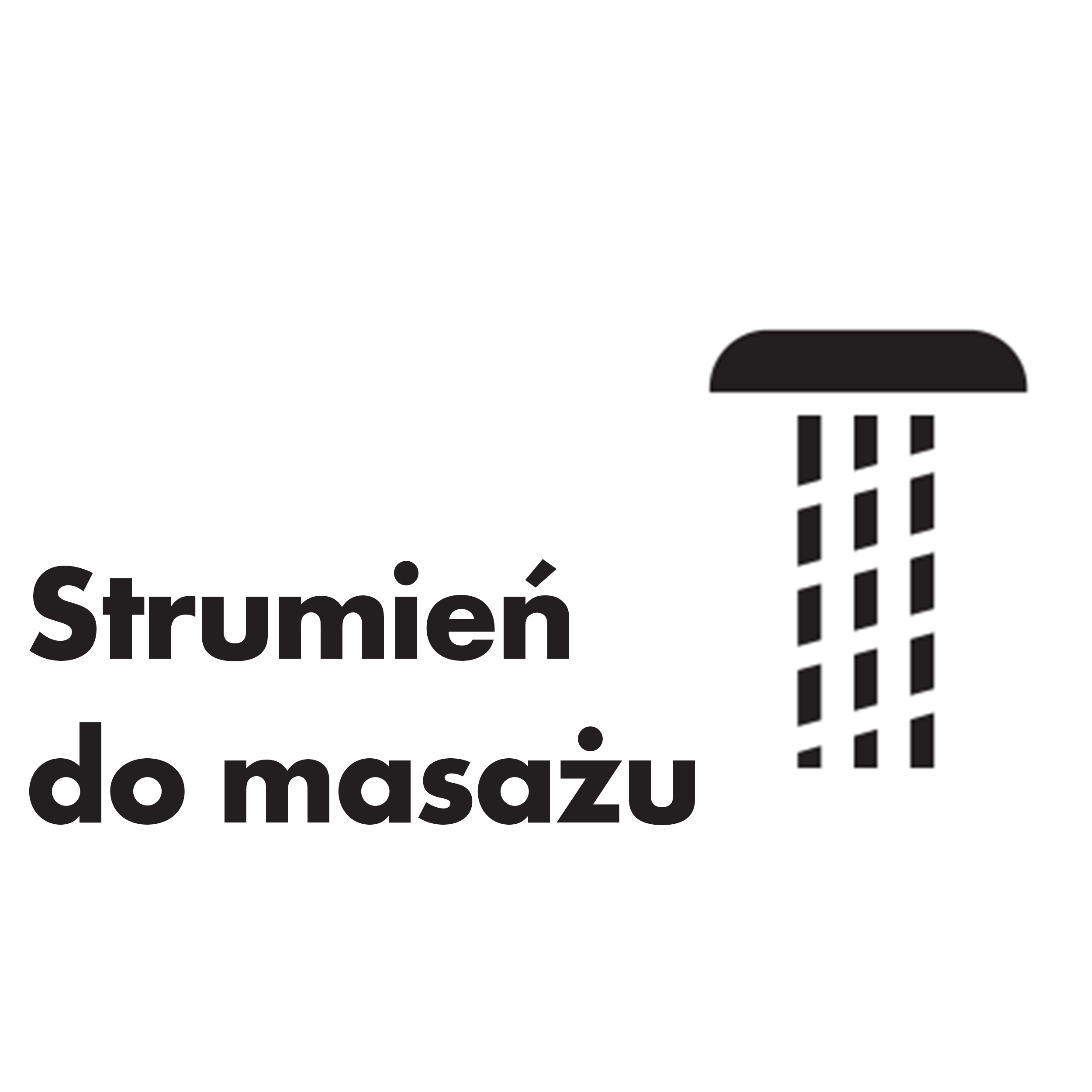 Słuchawka prysznicowa Croma 100 Vario       4-funkcyjna chrom Hansgrohe - 9