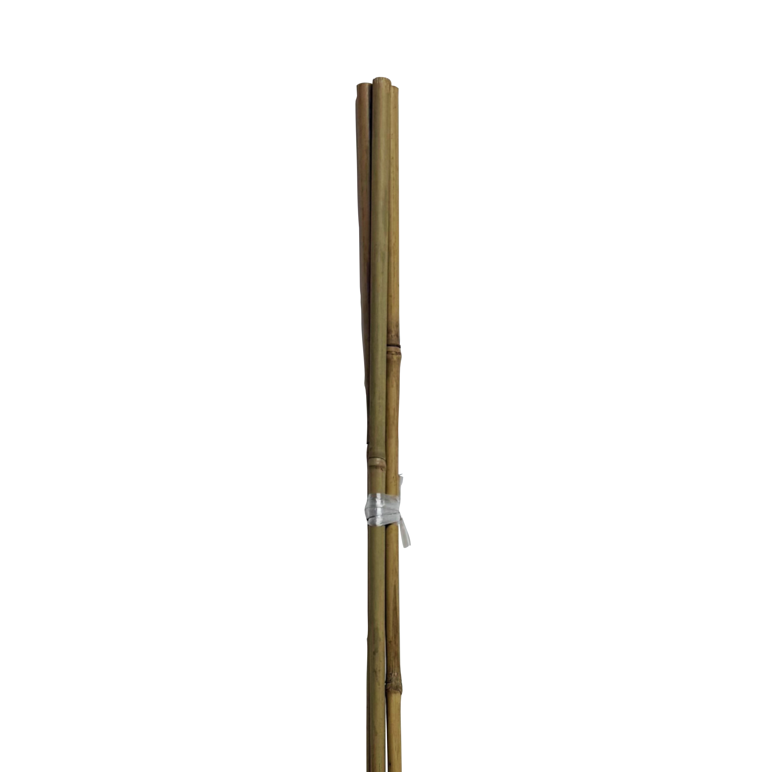 Tyczka podpórka bambusowa 10-12mm 120 cm 3 szt.