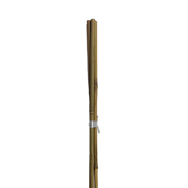 Tyczka podpórka bambusowa 10-12mm 120 cm 3 szt.