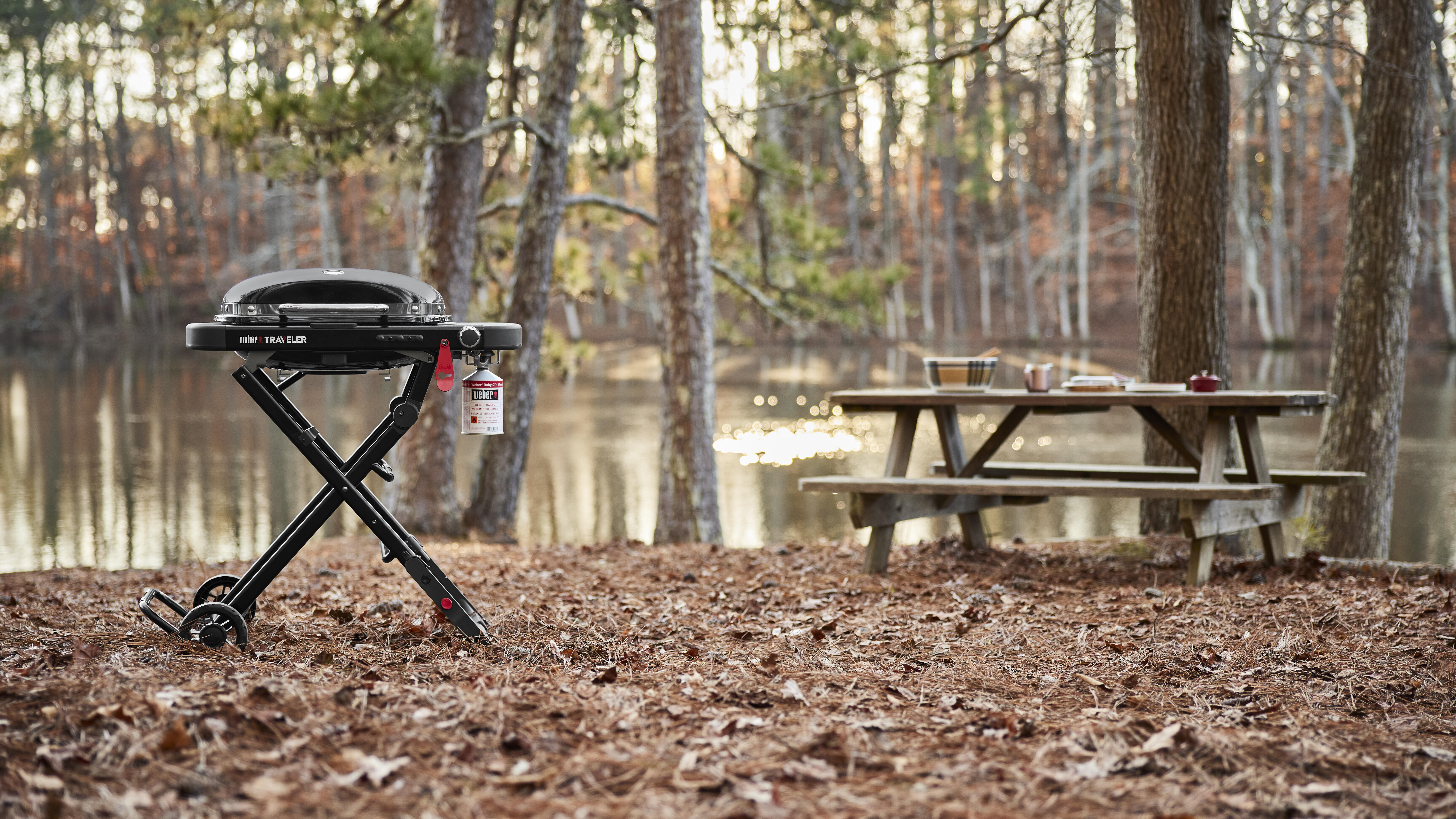 Barbecue a gás Weber Traveler Compact - 7