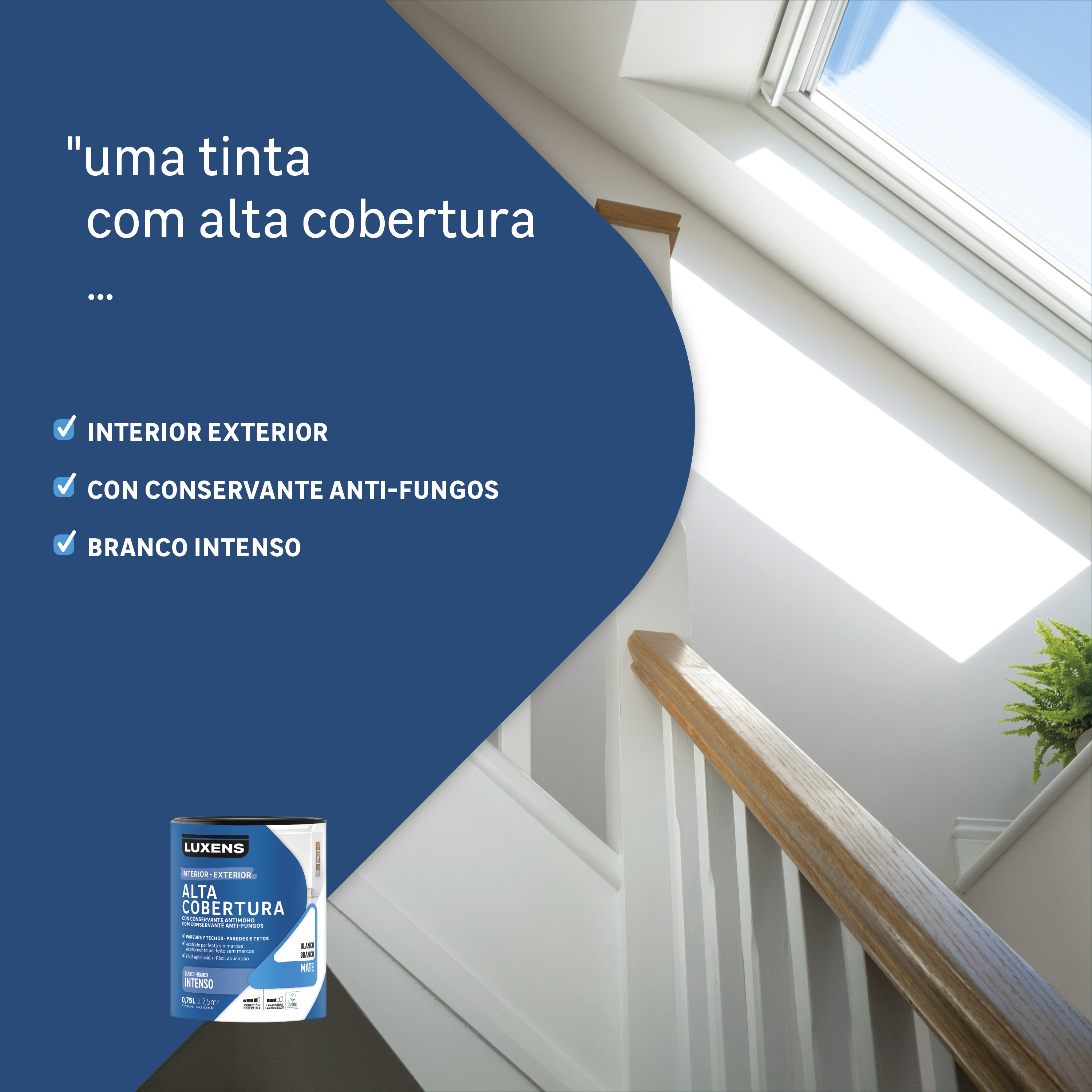 Tinta interior parede anti mofo luxens branco mate 15L - 3