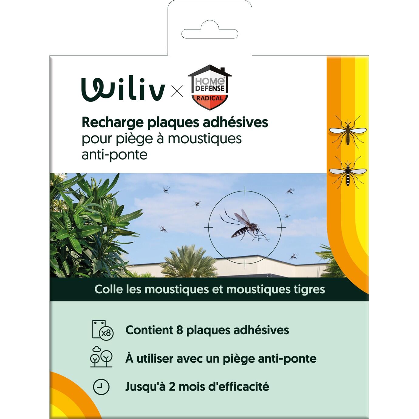 Lot de 8 pièges à insecte insecte KB HOME DEFENSE | Leroy Merlin