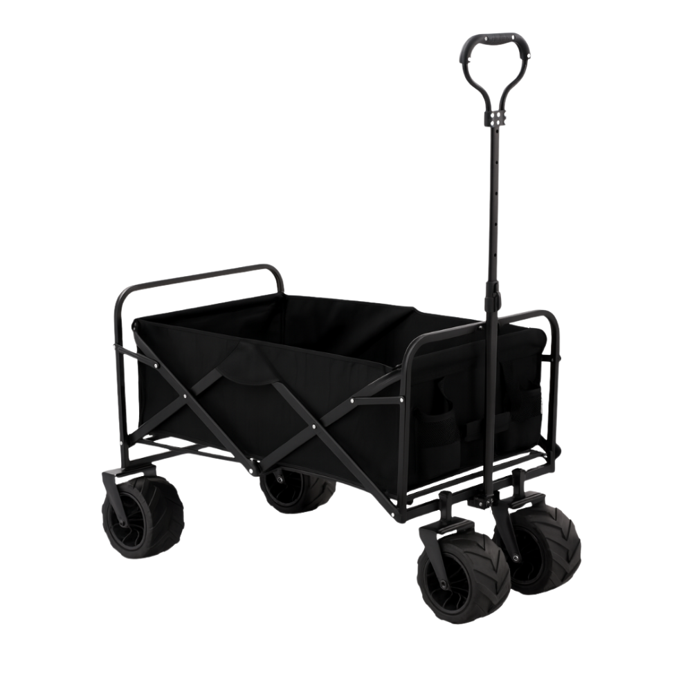 CHARIOT LOISIRS TOUT TERRAIN - 2