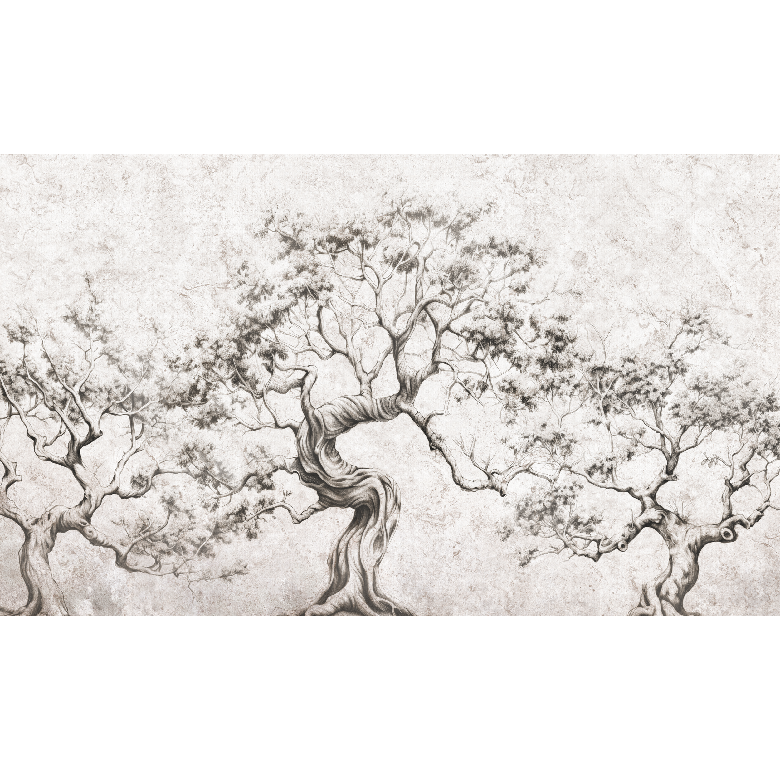 Mural Timber natura 500 x 280 cm delikatna struktura