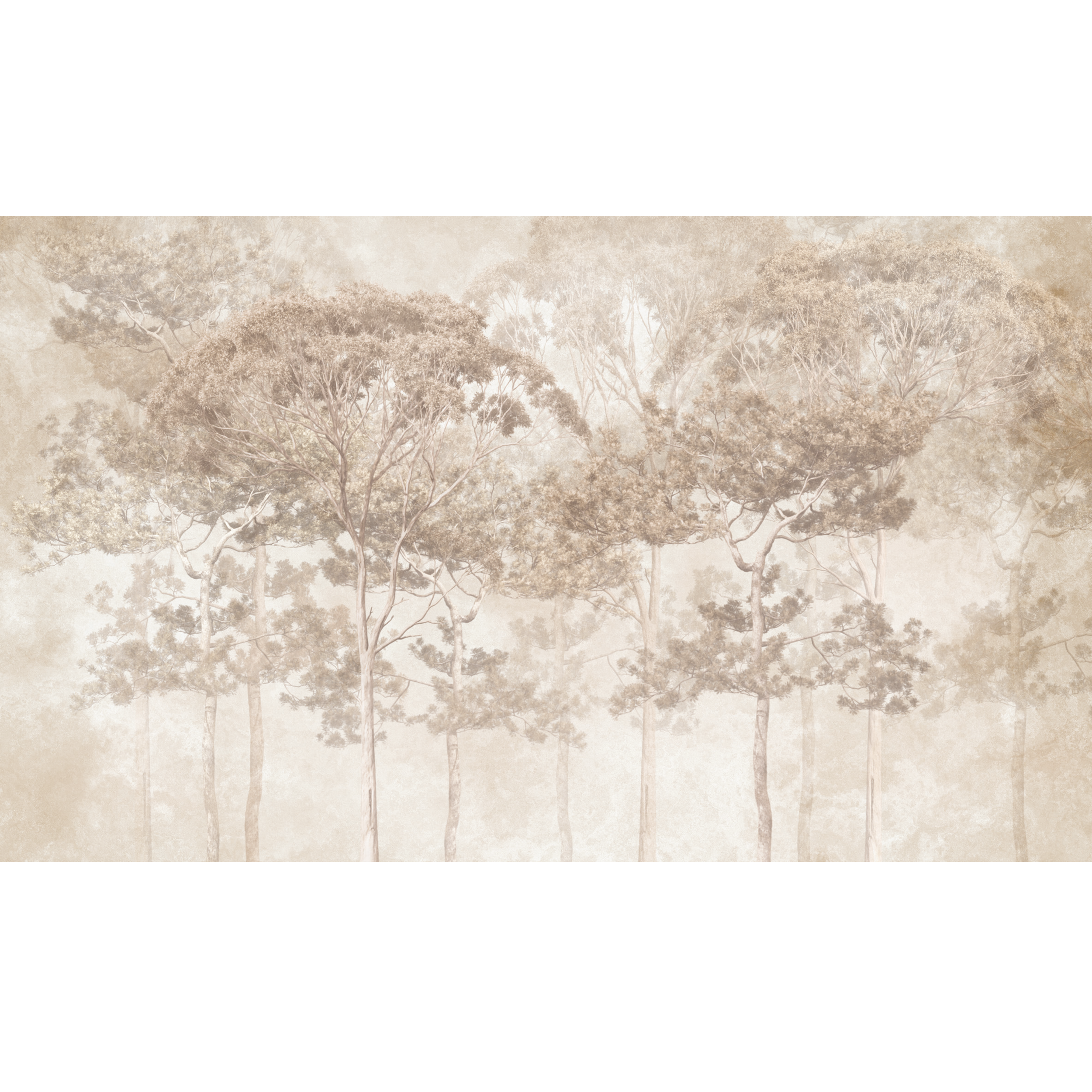 Mural Pine natura 500 x 280 cm struktura Art.