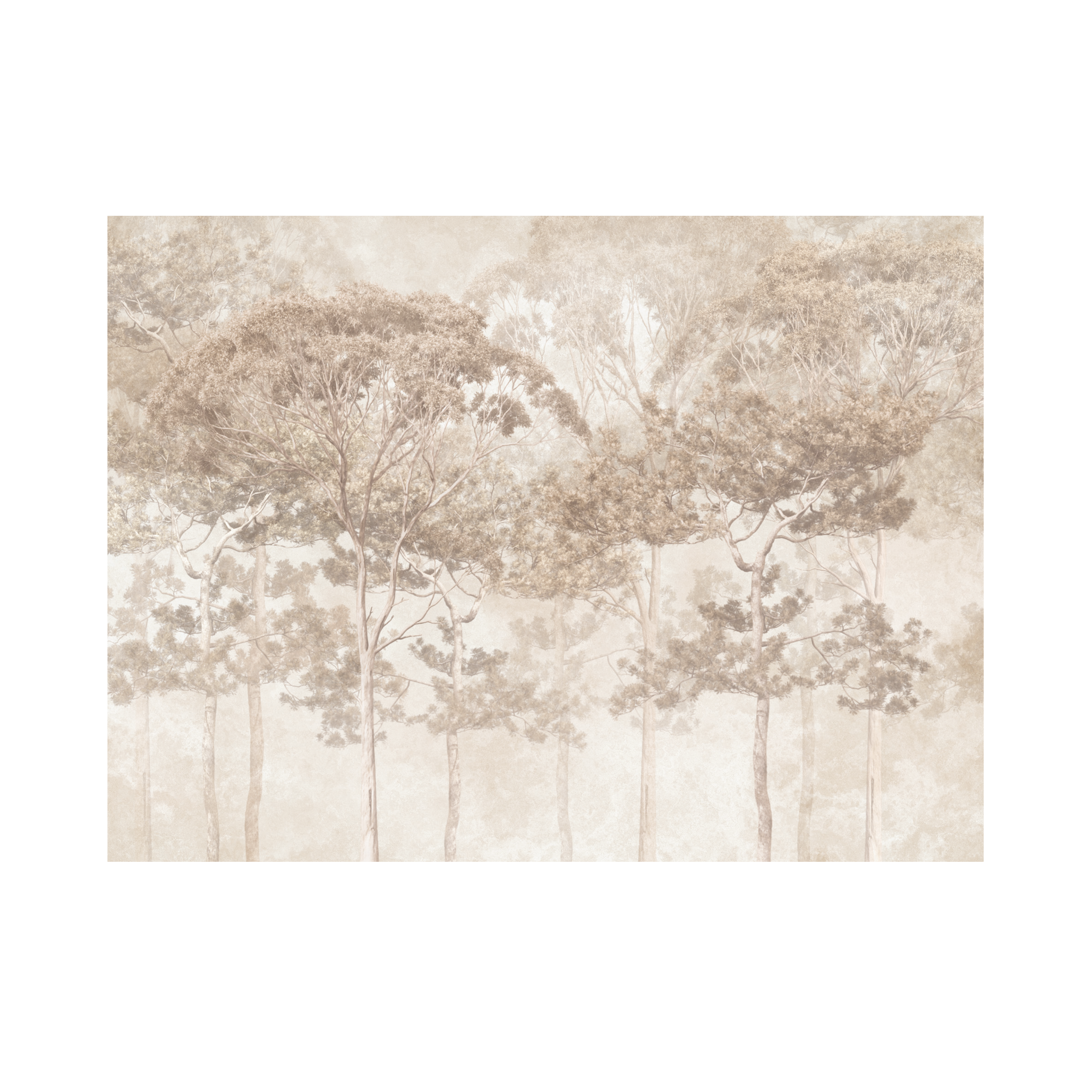Mural Pine natura 400 x 280 cm delikatna struktura