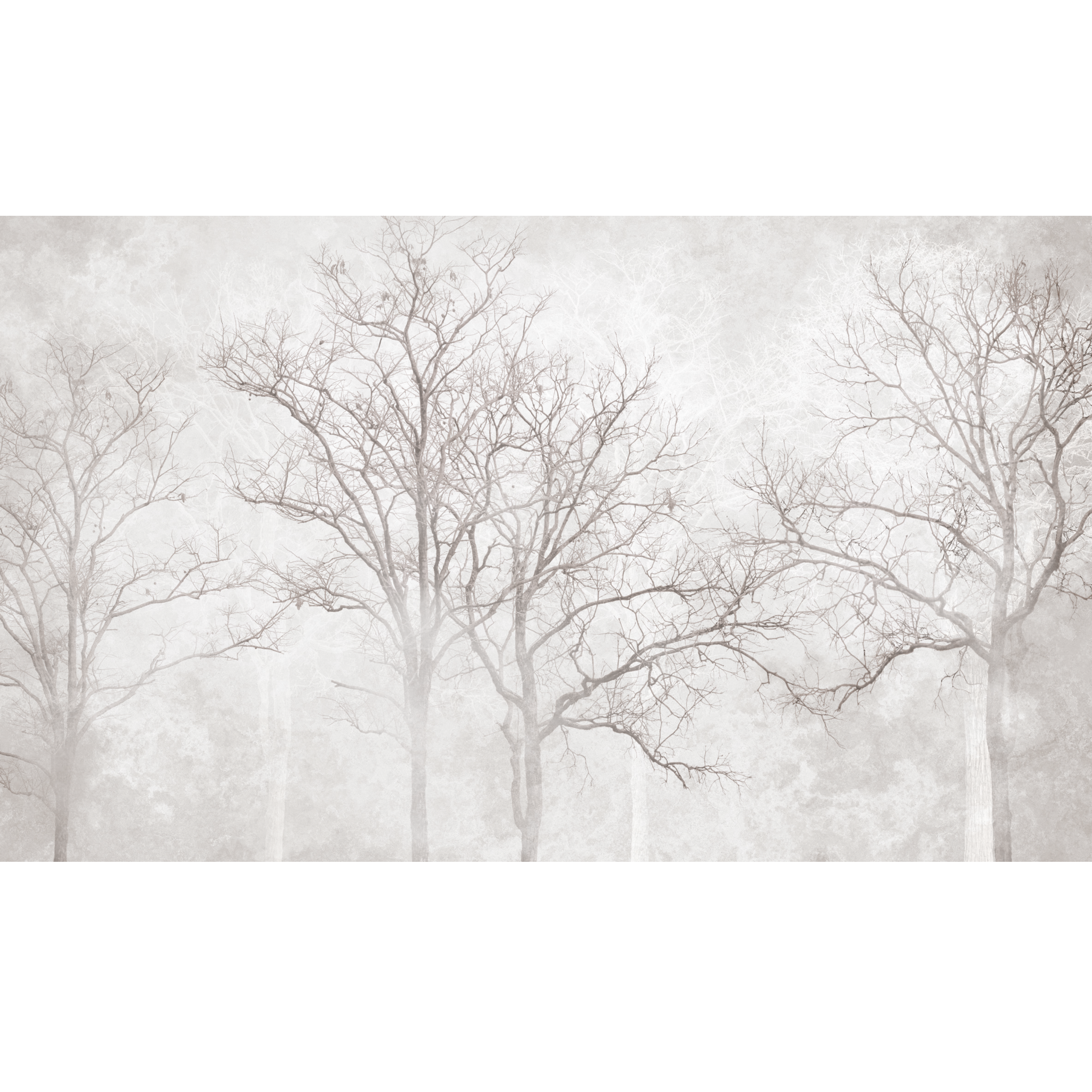 Mural Arbor natura 500 x 280 cm struktura Art.