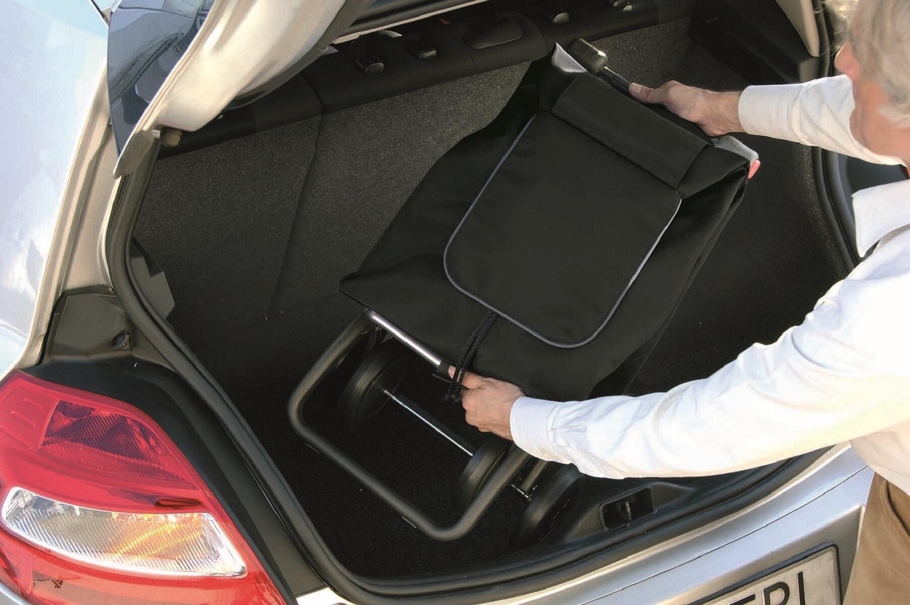 Chariot de manutention, charge garantie  25 kg - 2