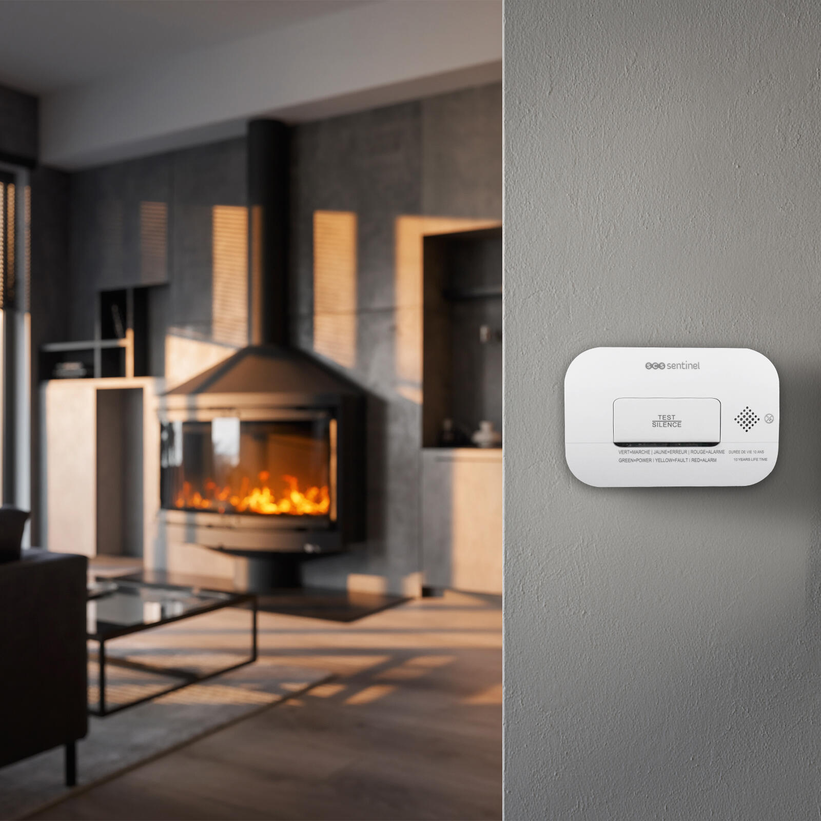 Détecteur de monoxyde de carbone DAACO Co-Alarm SCS Sentinel - 4
